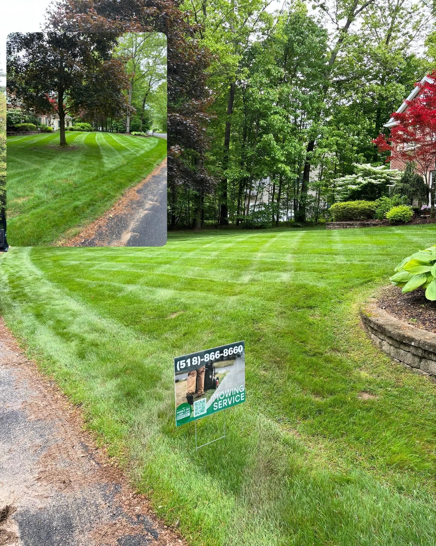  for Bumblebee Lawn Care LLC in Albany, New York