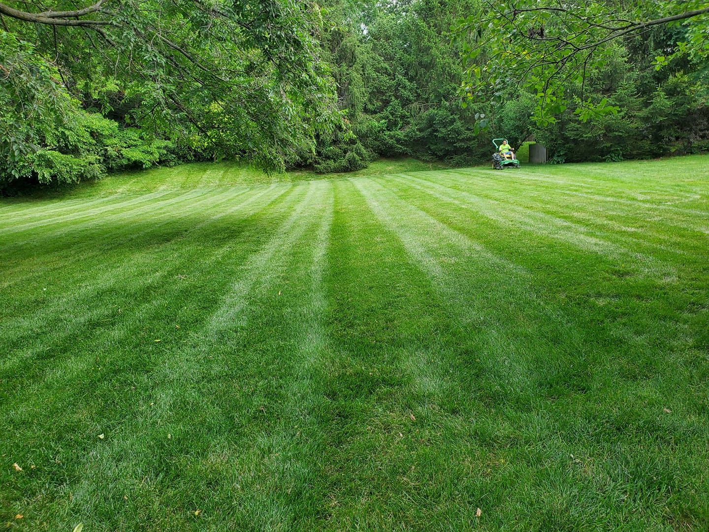  for Vega's Lawncare and Landscaping in Noblesville,  IN