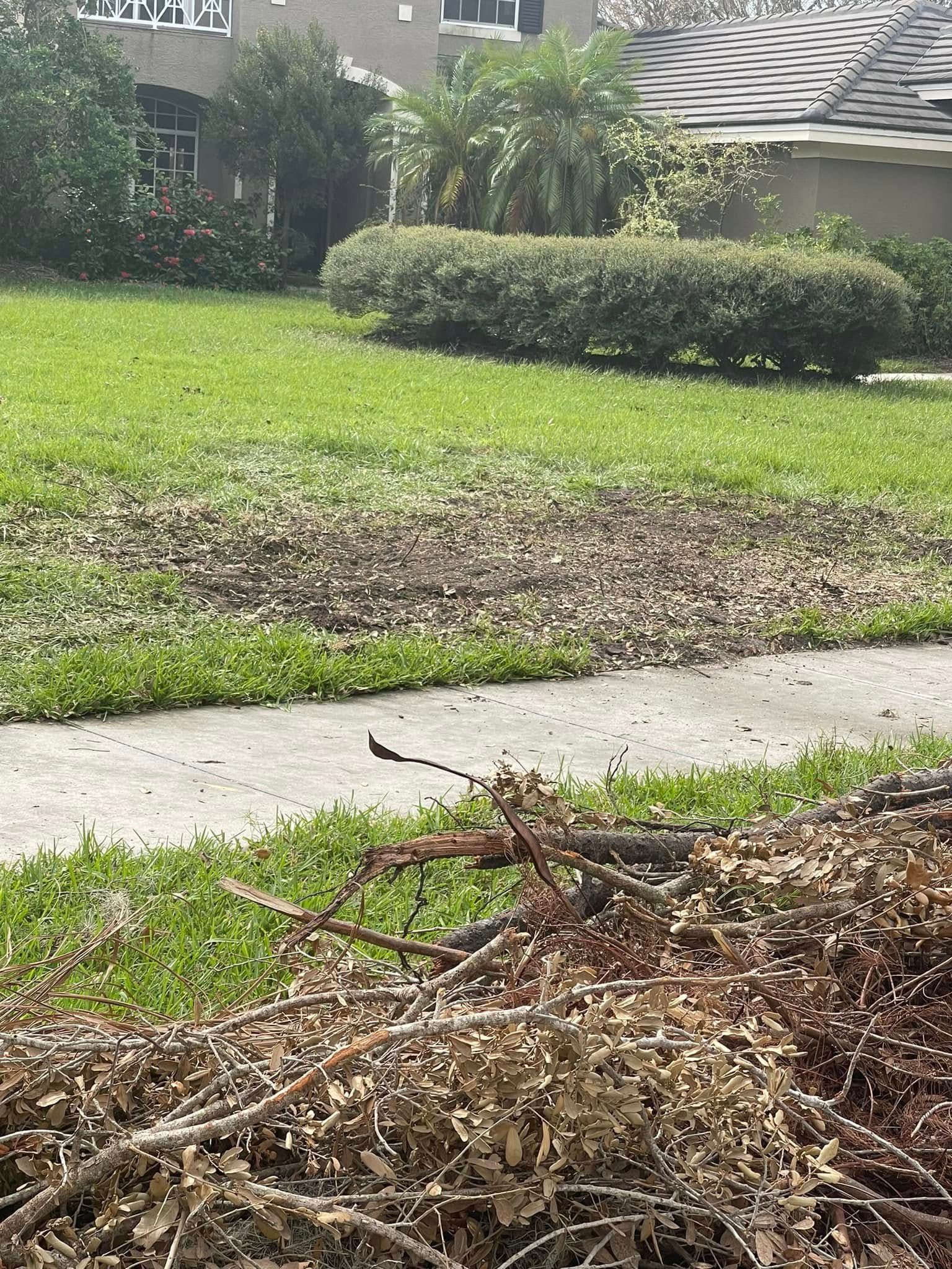  for Nick of Time Tree Service in North Port, FL