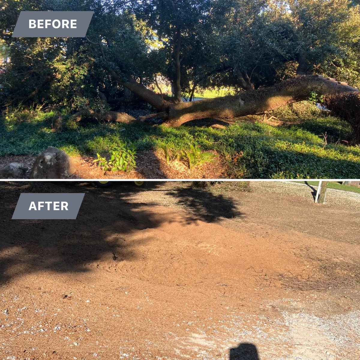  for Southern Venom Services in Daphne, AL