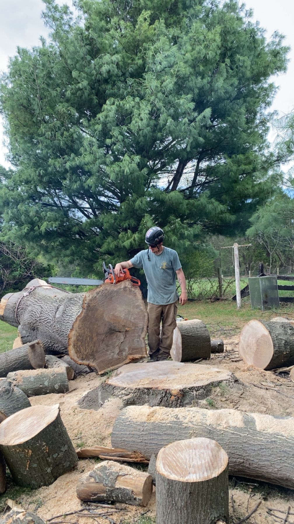 All Photos for Gray's Tree Service  in Shenandoah County, VA