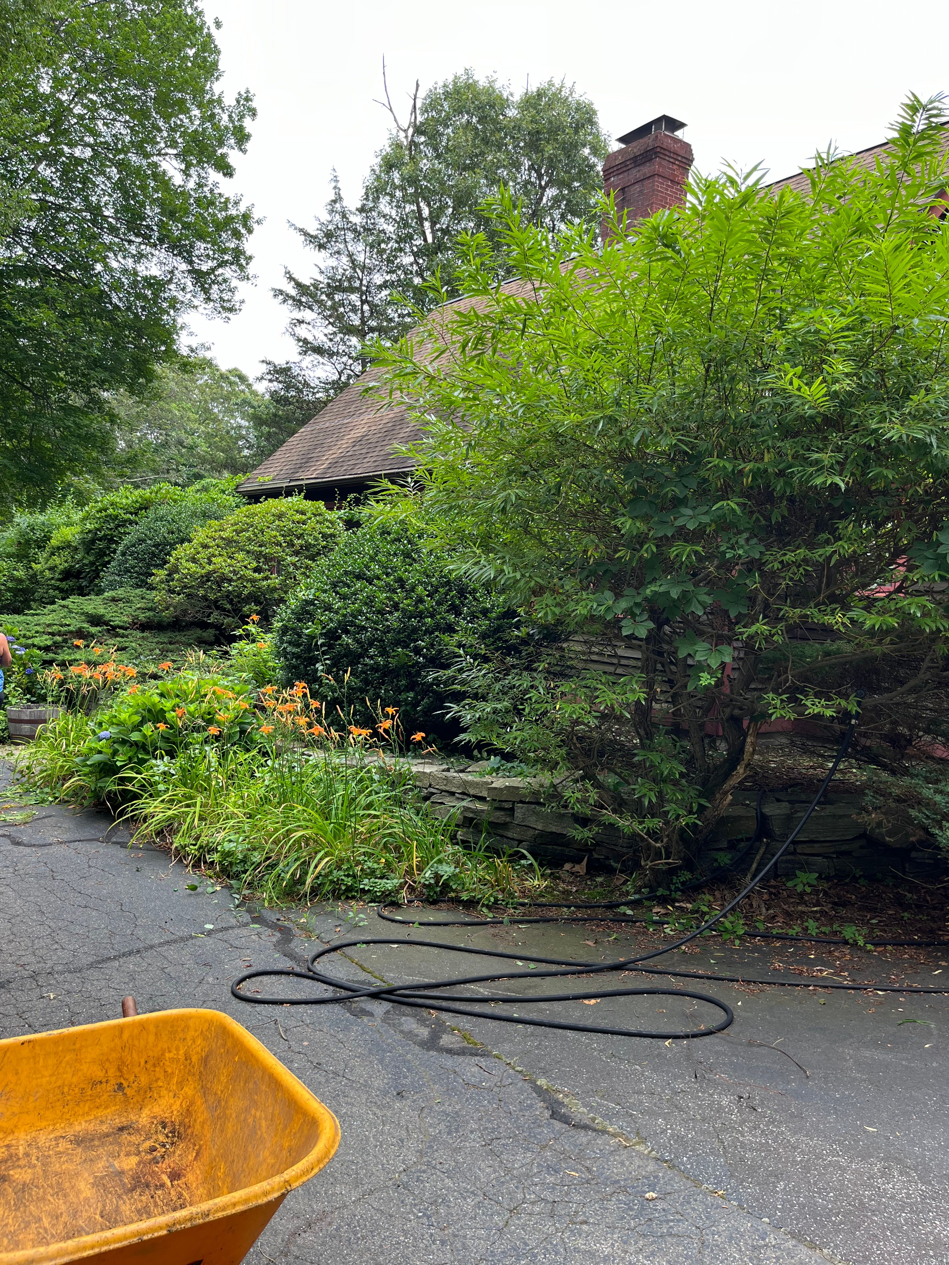  for Evolution Landscaping and Construction  in Charlestown, RI