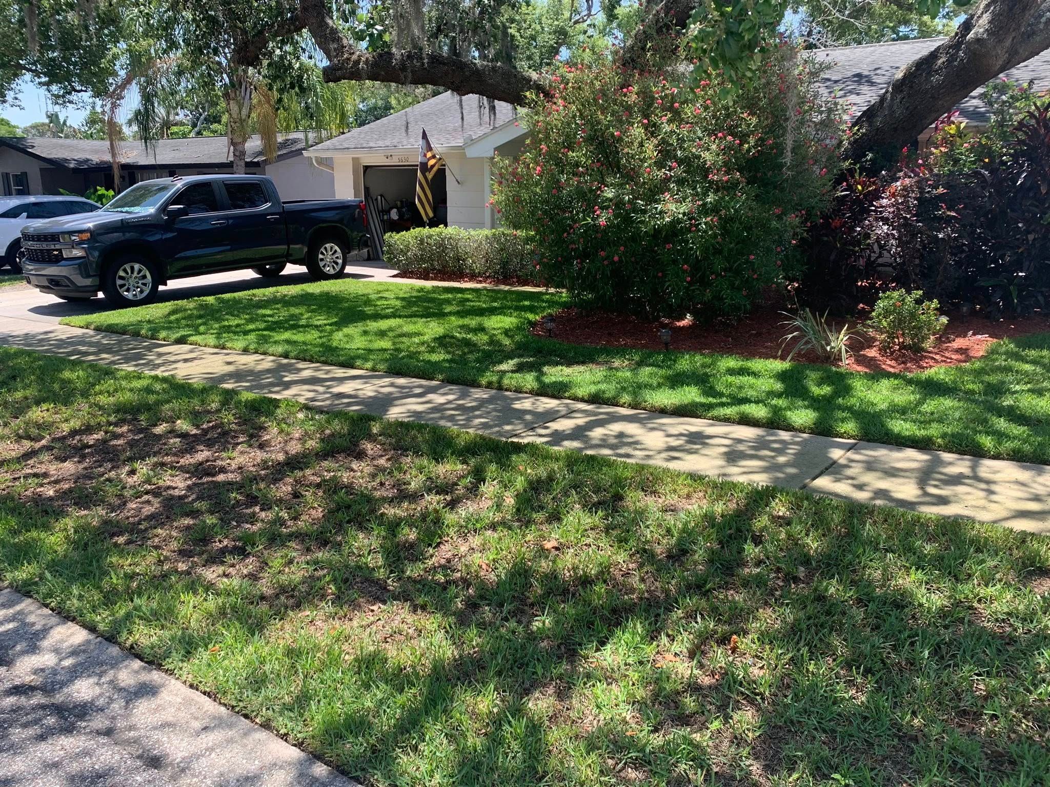 for Mitchell Lawn Service in Odessa, FL