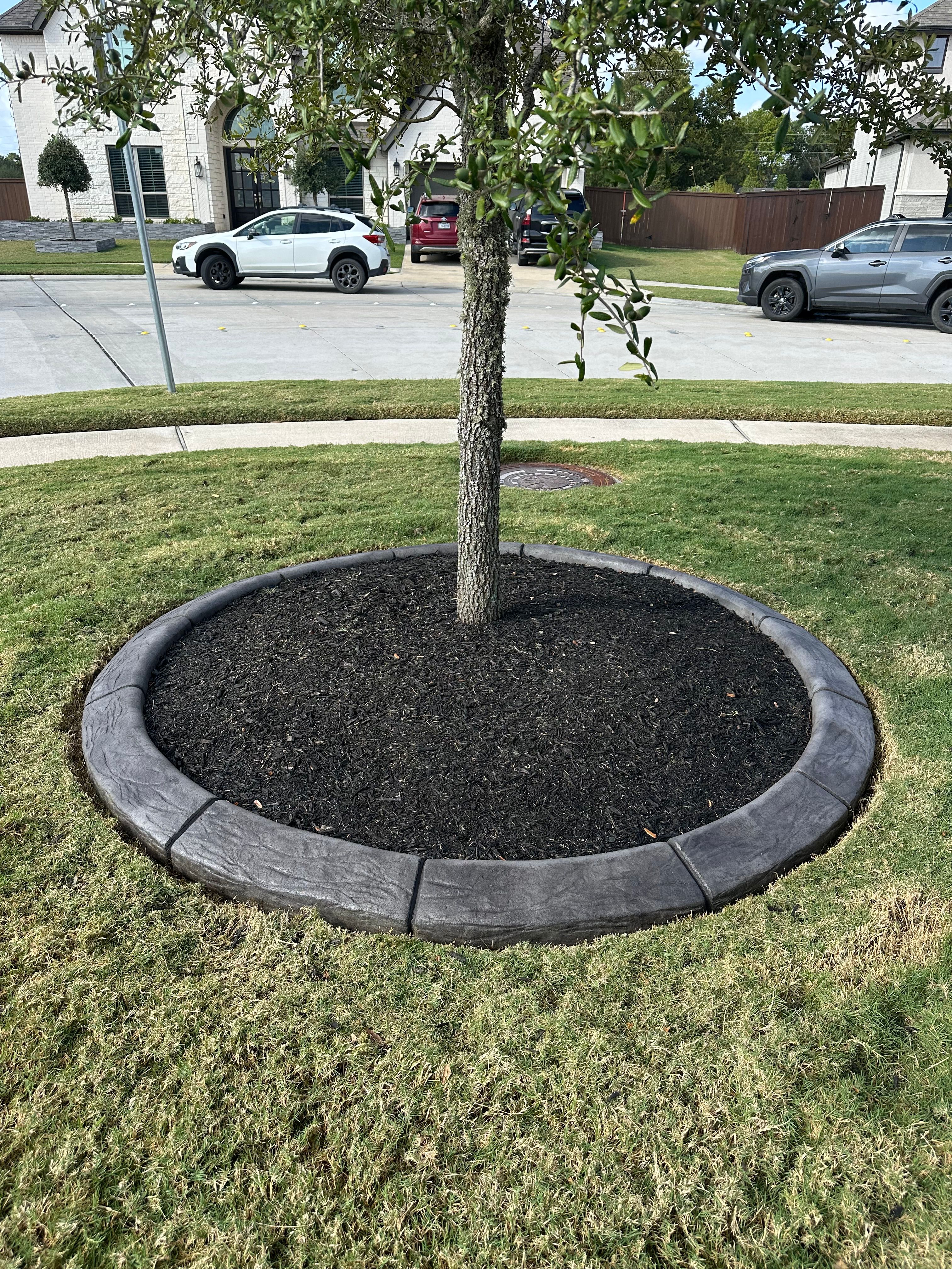  for Texas Curb N Borders in Houston, TX