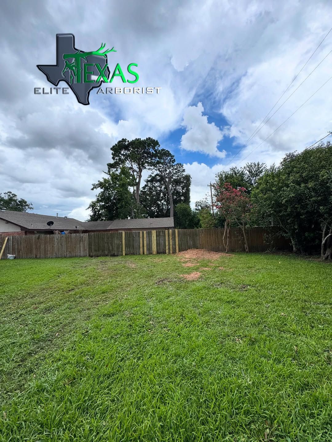  for Texas Elite Arborist in Houston, TX