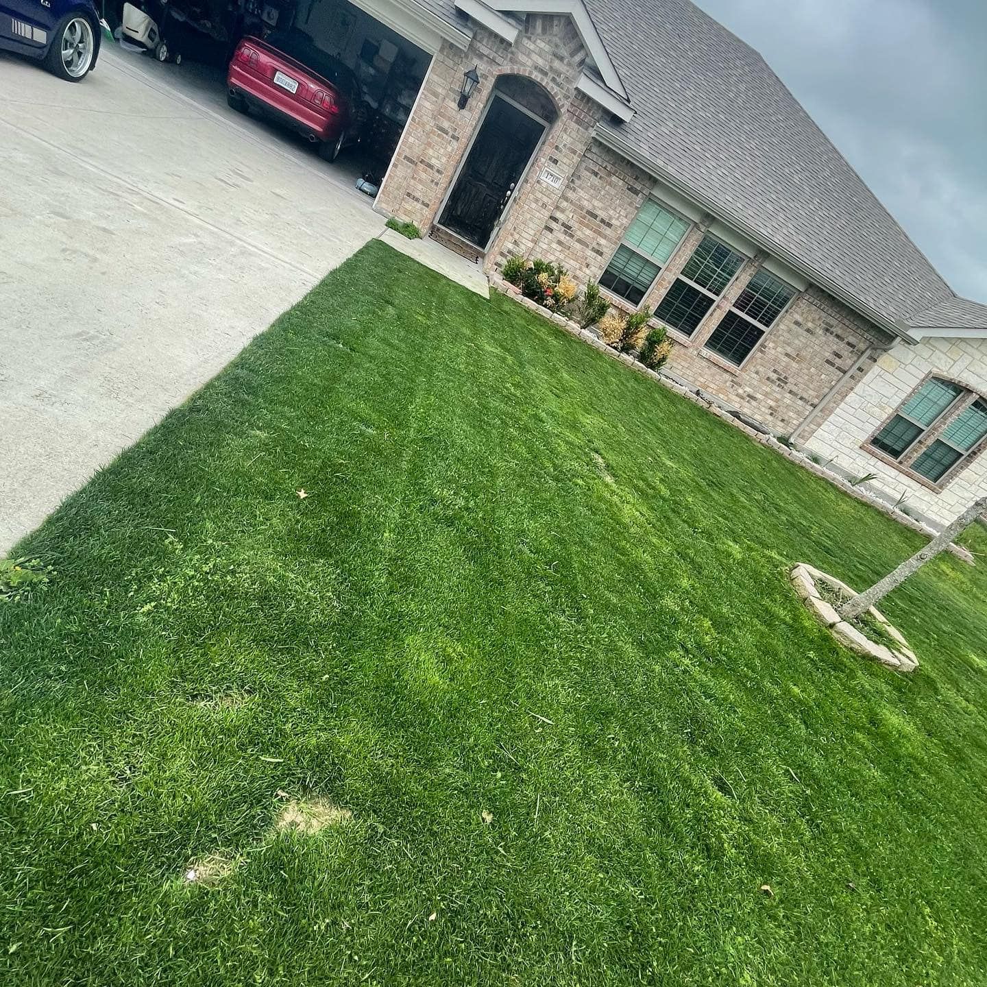 All Photos for Green Scapes Landscaping in Terrell, TX
