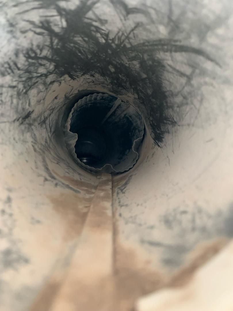 All Photos for Soapy Suds Services in St. Charles, IL