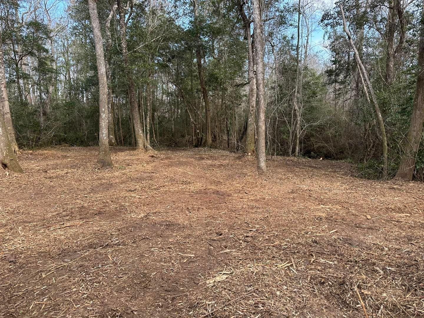 All Photos for White’s Land Maintenance in Milton,, FL