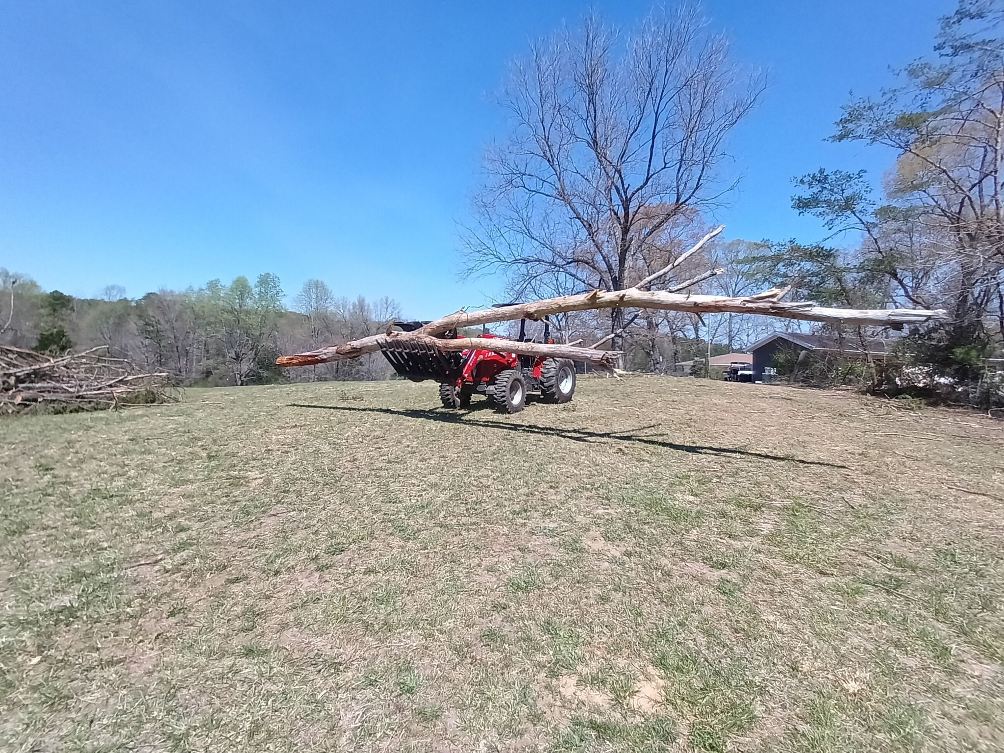Tree Removal for Goliath Tree Maintenance and Haul Away in Seneca, SC