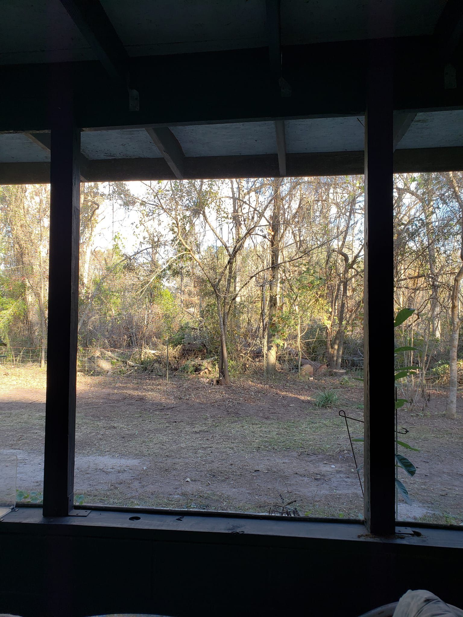  for Warners Tree Solutions in Live Oak, FL