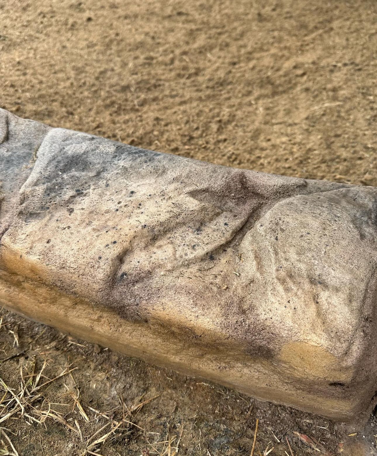  for Texas Curb N Borders in Houston, TX