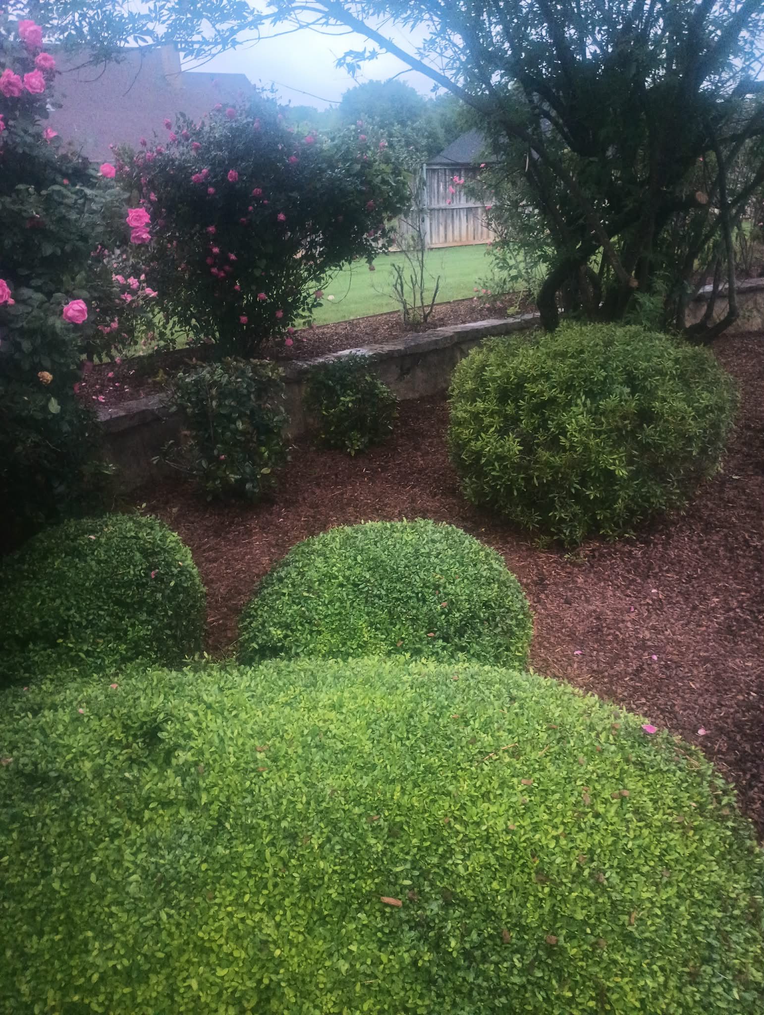  for Wilson's Yard Work, LLC in Tyler, TX