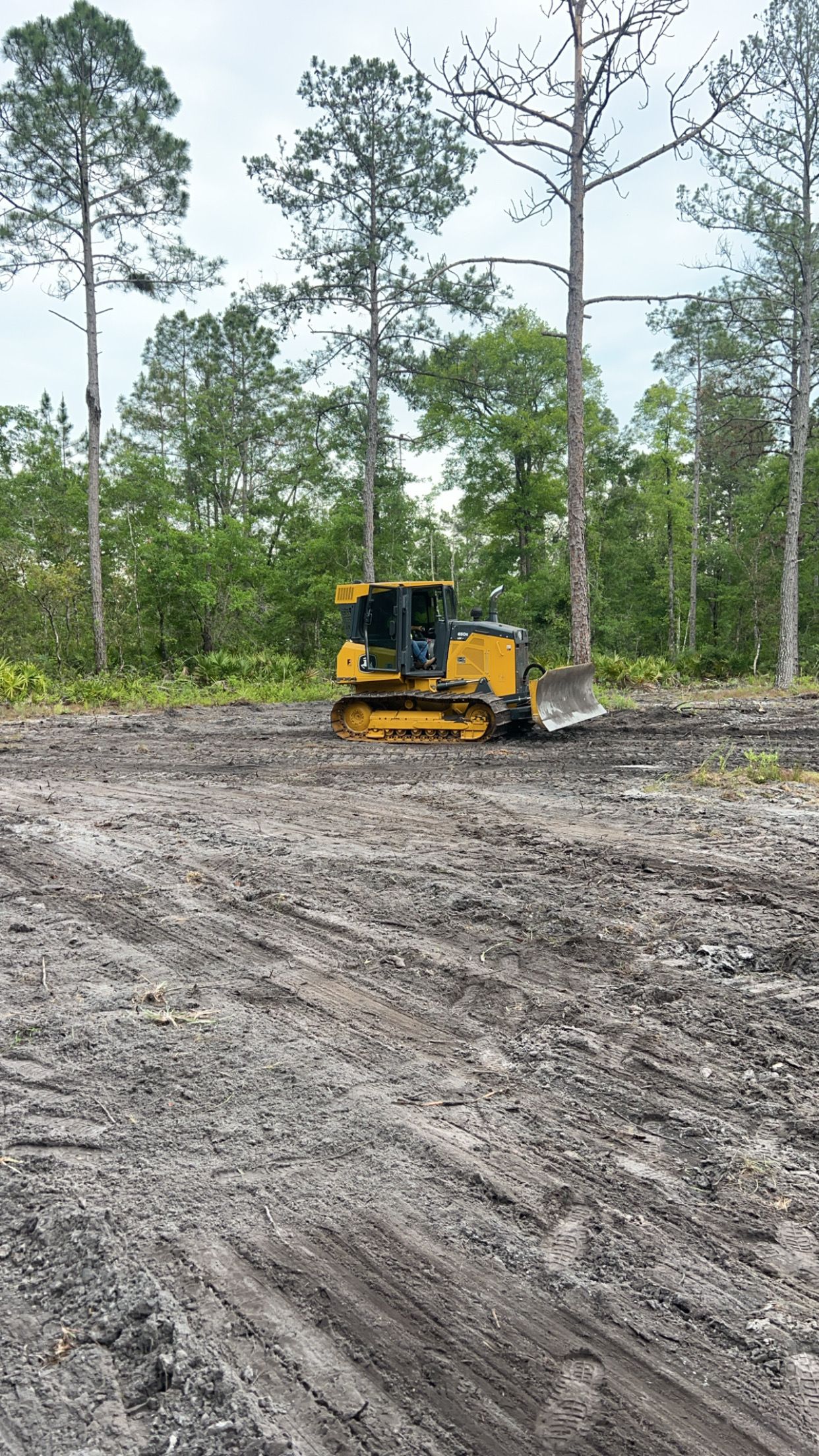  for Bay Hill Development in Nahunta, GA