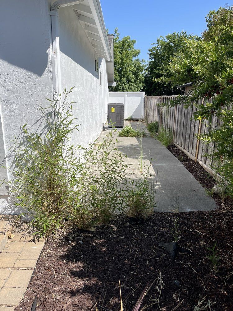  for CBA Landscaping in Hayward, CA