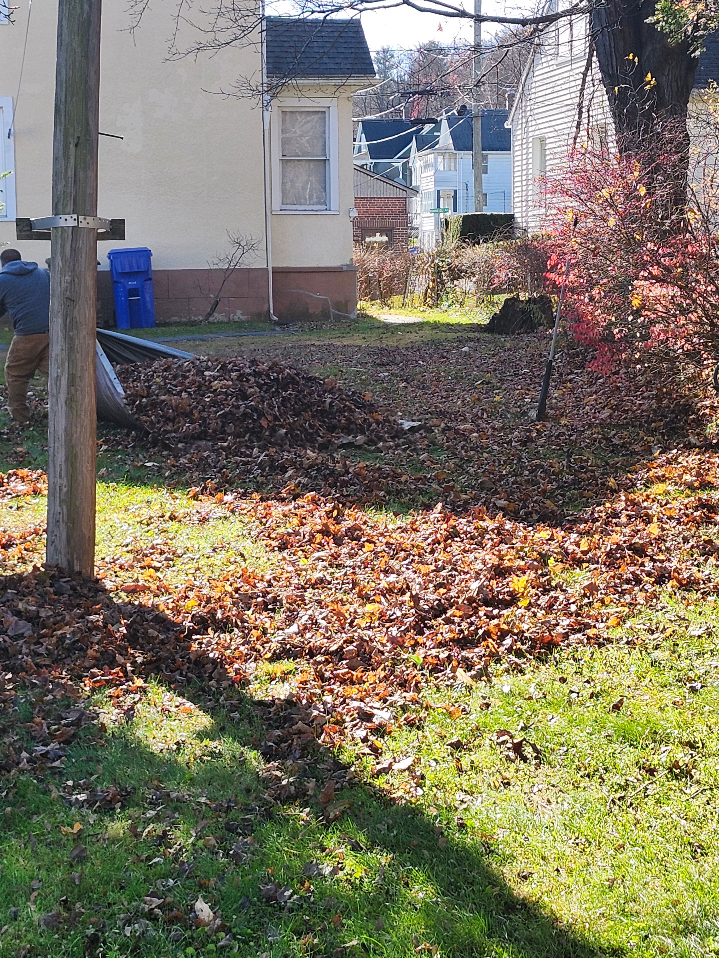 Spring & Fall Cleanups for Landscape Innovations LLC in Torrington, CT