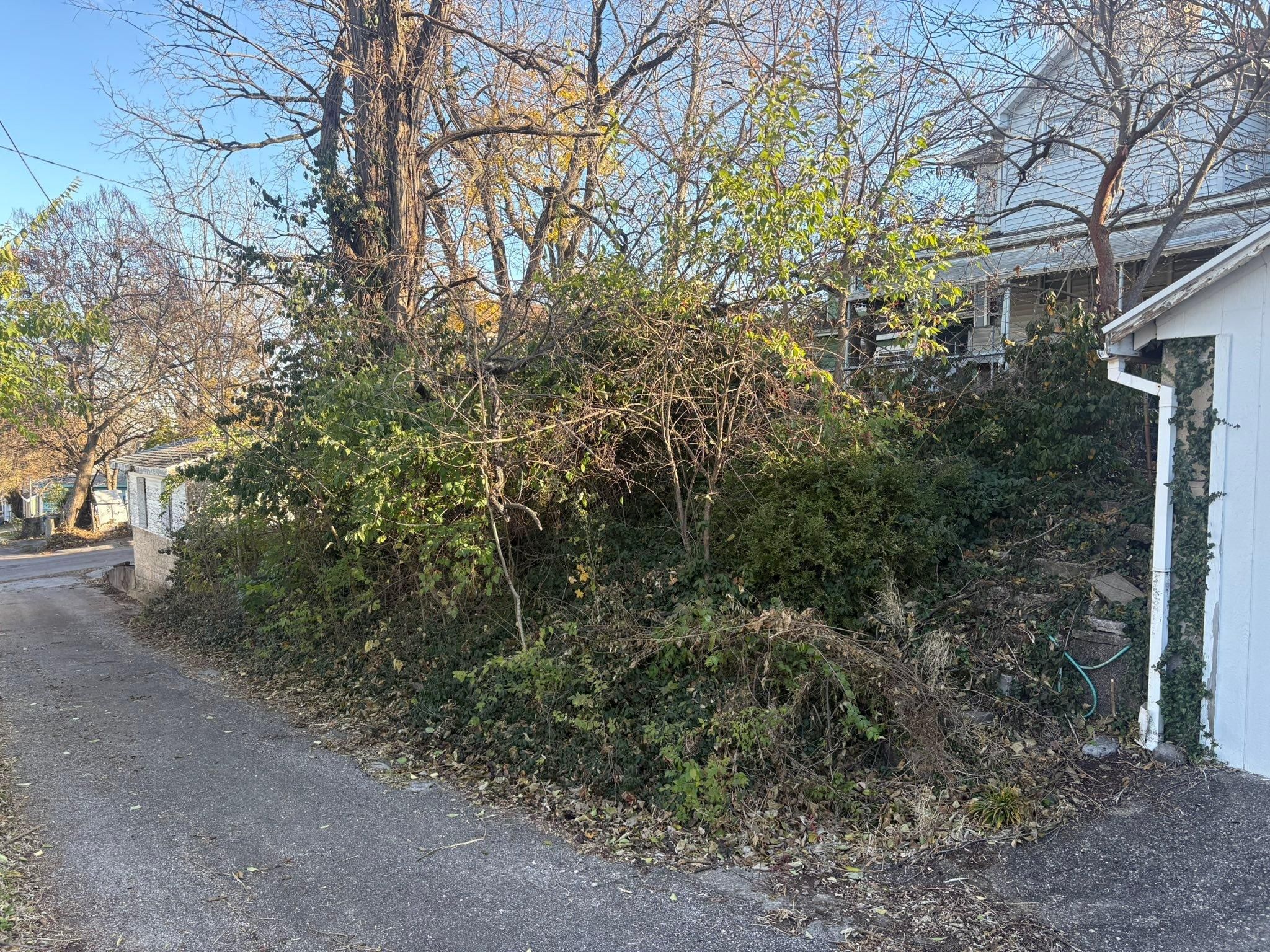  for Dig-It Tree Company in Mason, OH