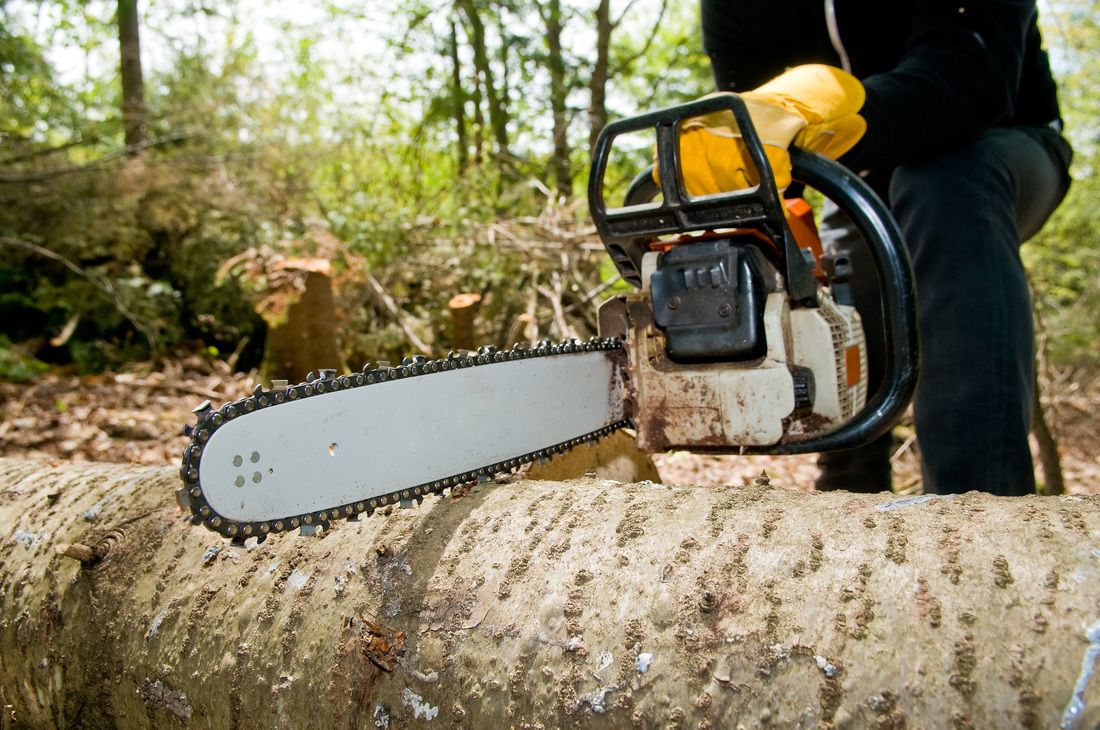  for O'Donnell Tree and Handyman Services in Pine Ridge, FL