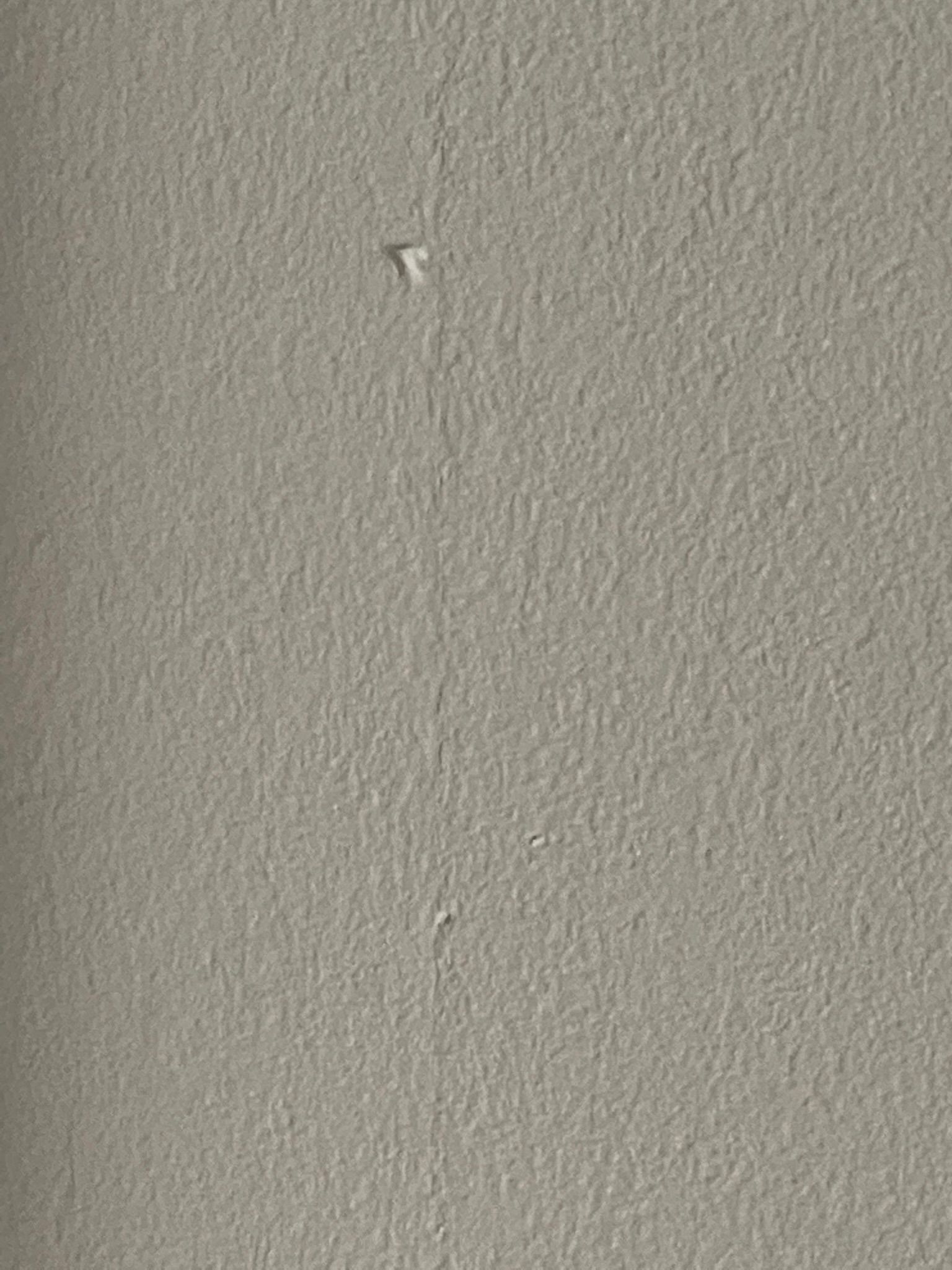  for Tony's Remodeling & Painting in Renton, WA