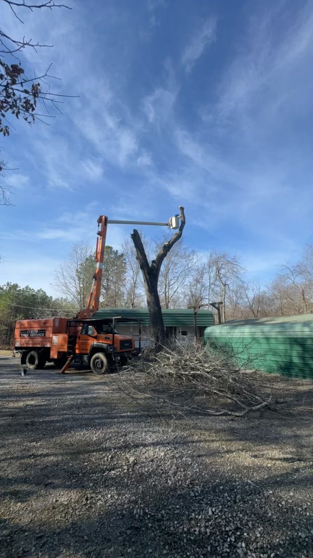  for Curtis Tree Service LLC in Hopkins County, KY