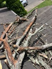 for Chipper's Tree Service  in Fort Payne, AL
