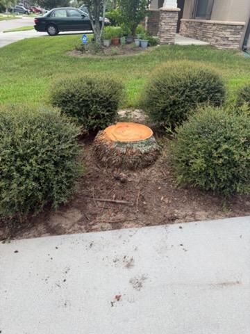  for Greene Acres Stump Grinding in Plant City, FL