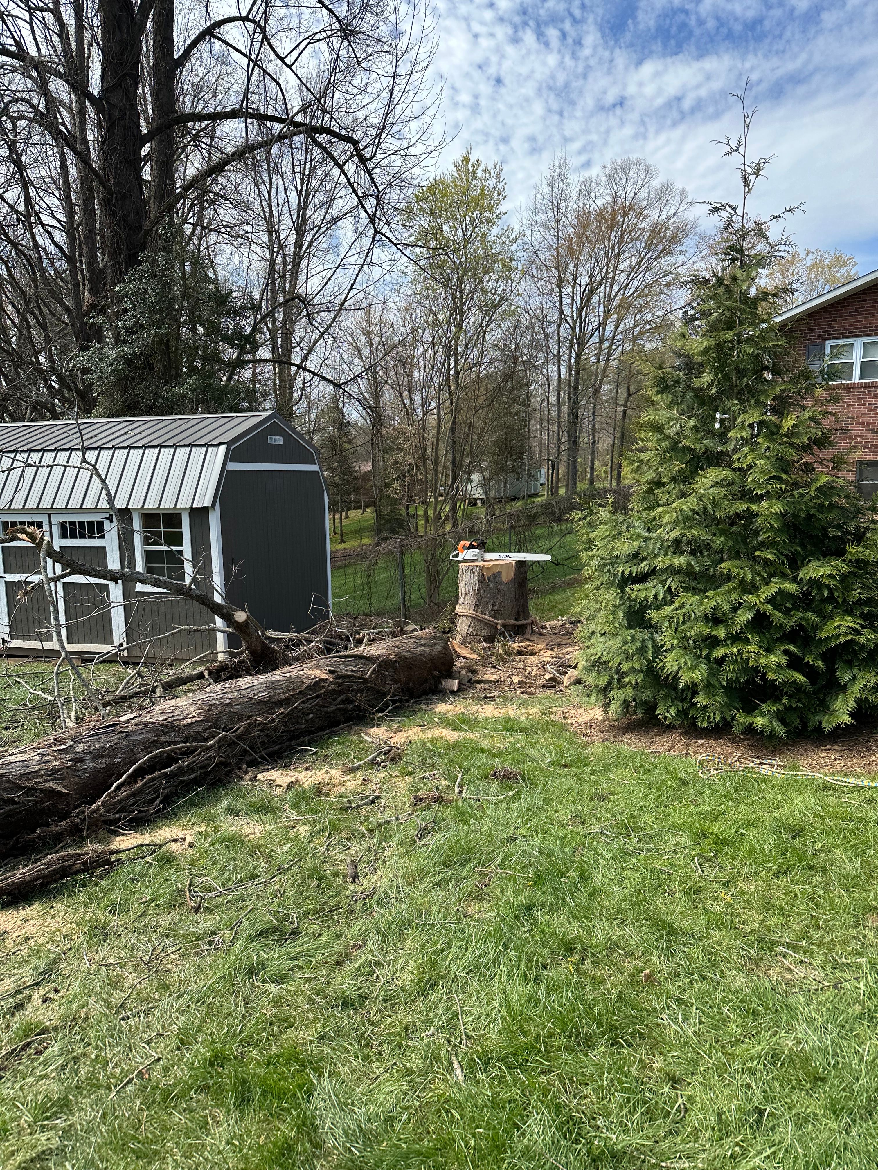 All Photos for Ramirez Tree Care in Elkin, NC