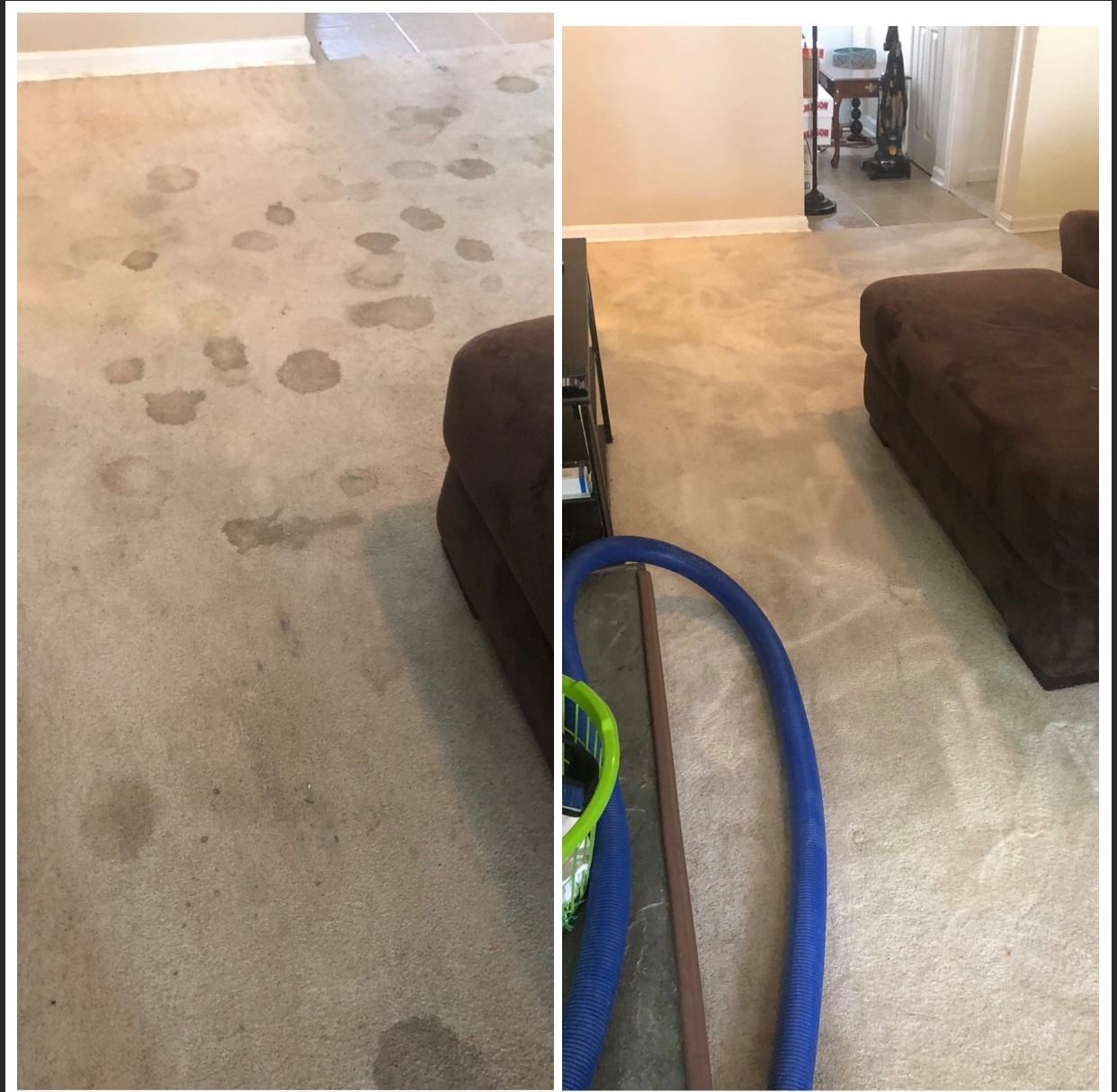  for Banderas Cleaning Service in Elsmere, DE