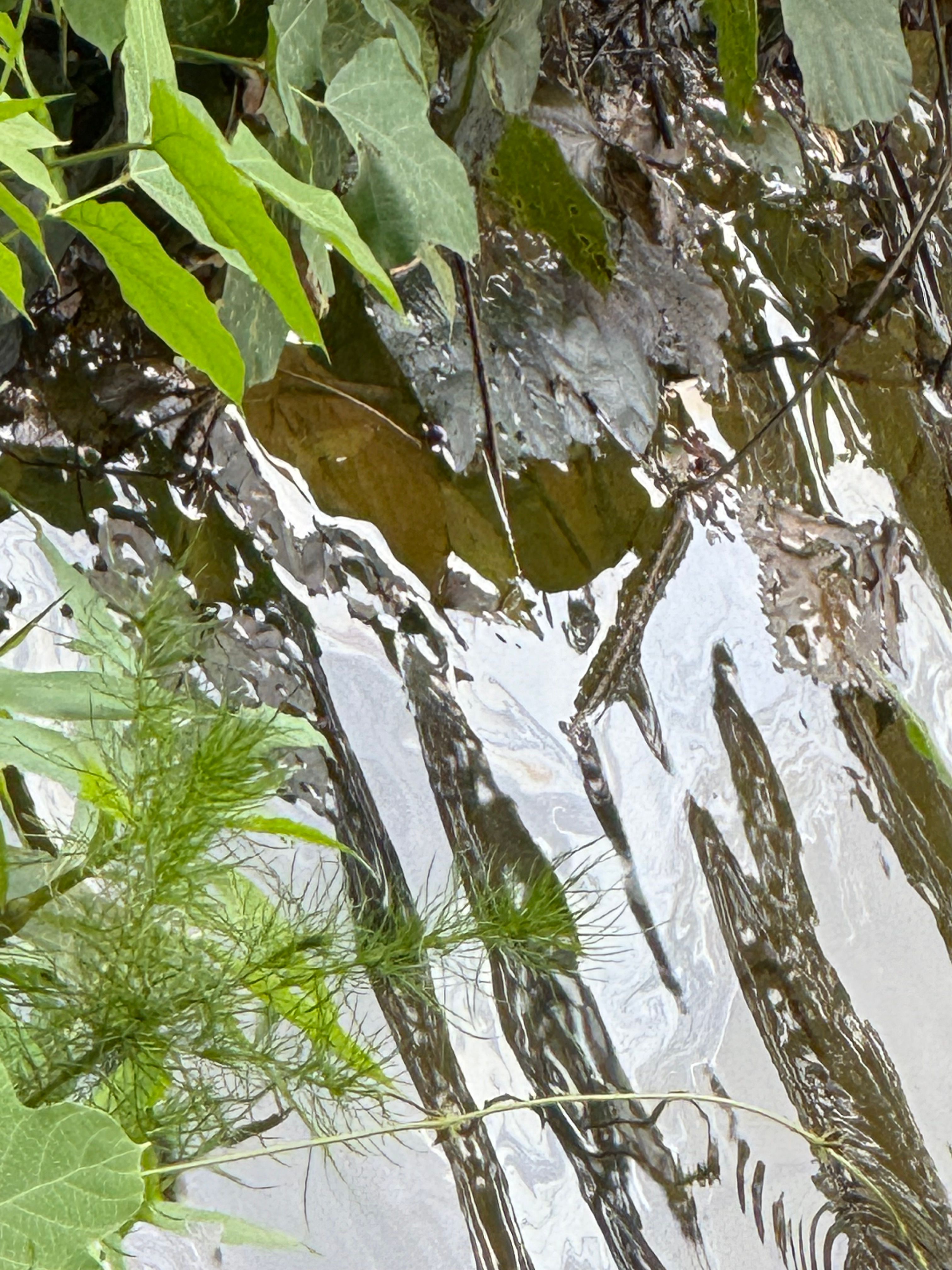  for Foothills Spill Response Team LLC in Spindale, NC