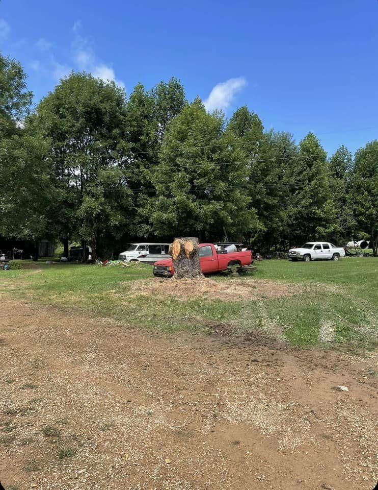 Fall and Spring Clean Up for Atwood’s Tree Care in Liberty,  KY