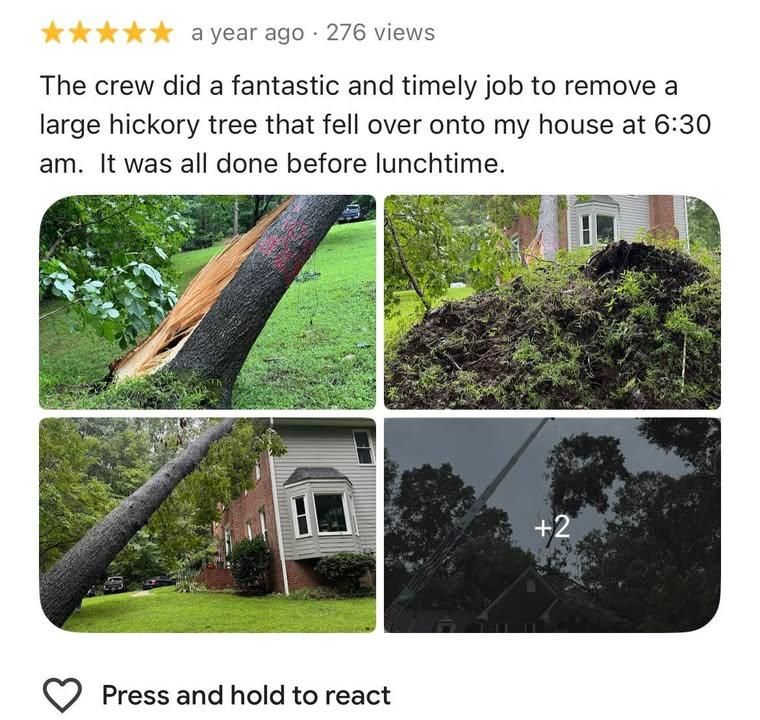  for AB Tree Service in Raleigh, NC