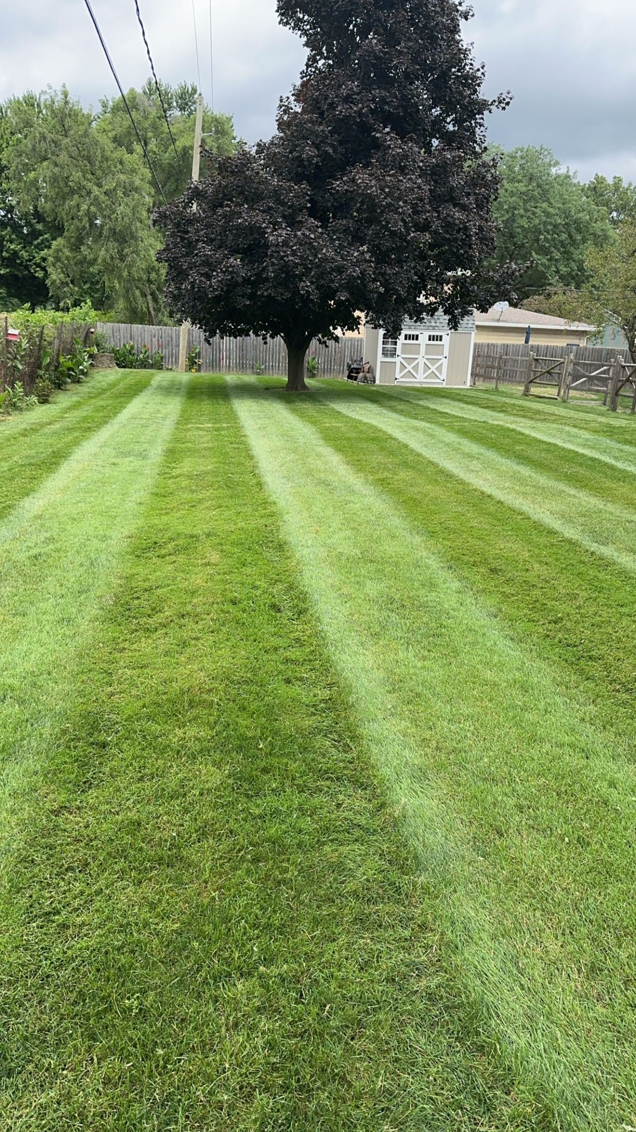  for Sargent's Lawn and Property Maintenance LLC in Lambertville, MI