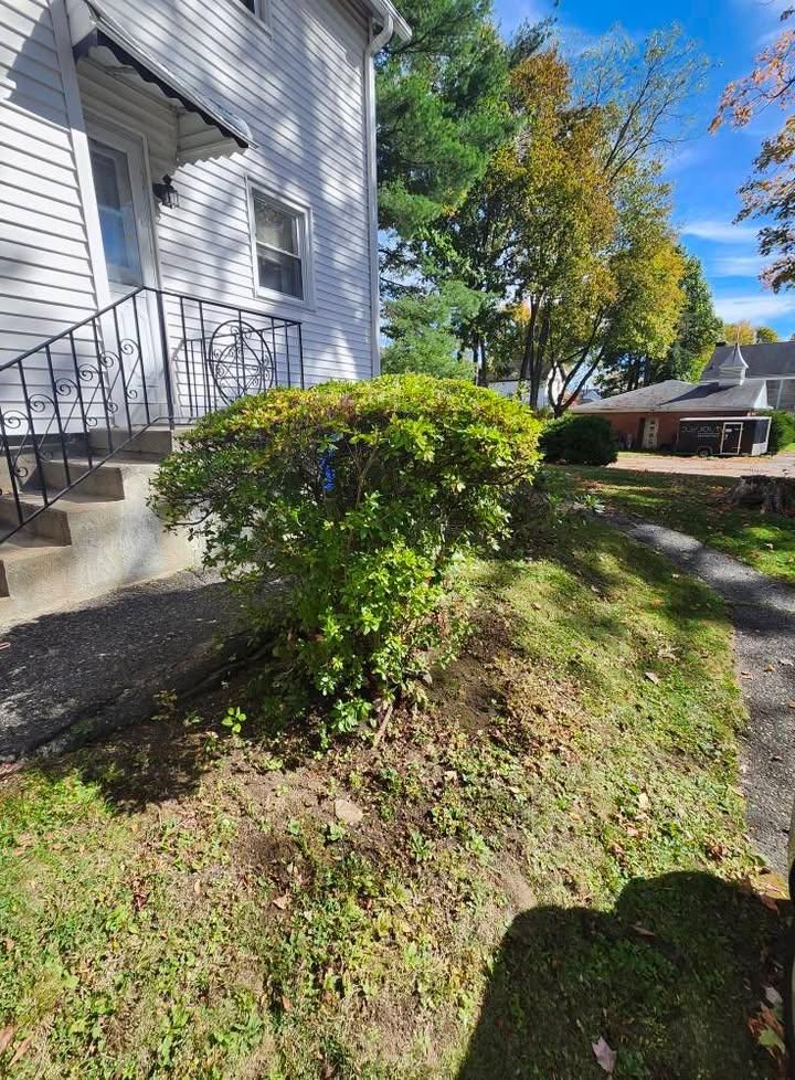  for Landscape Innovations LLC in Torrington, CT