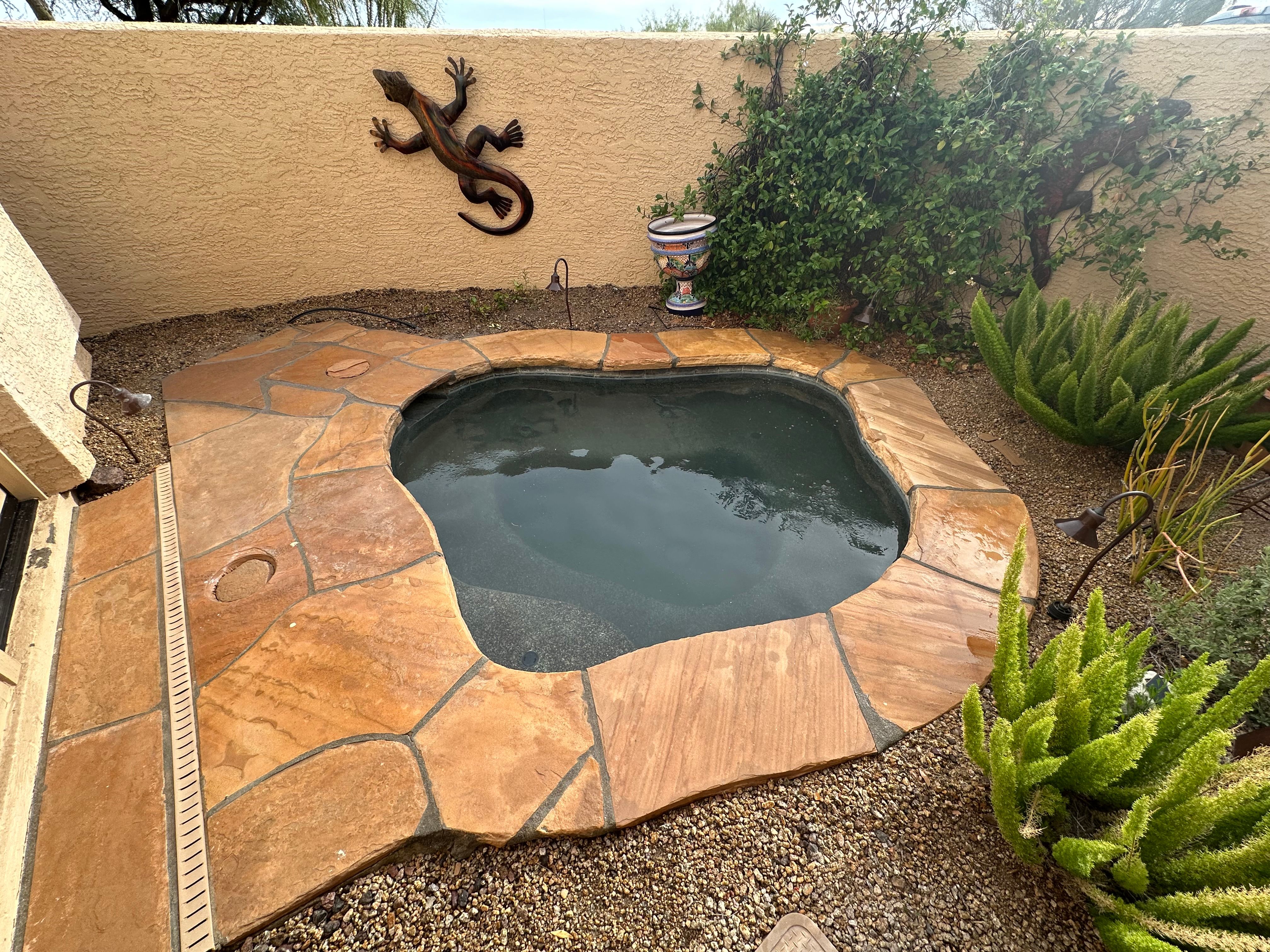 for Arizona Backyard Synergy in Phoenix, AZ