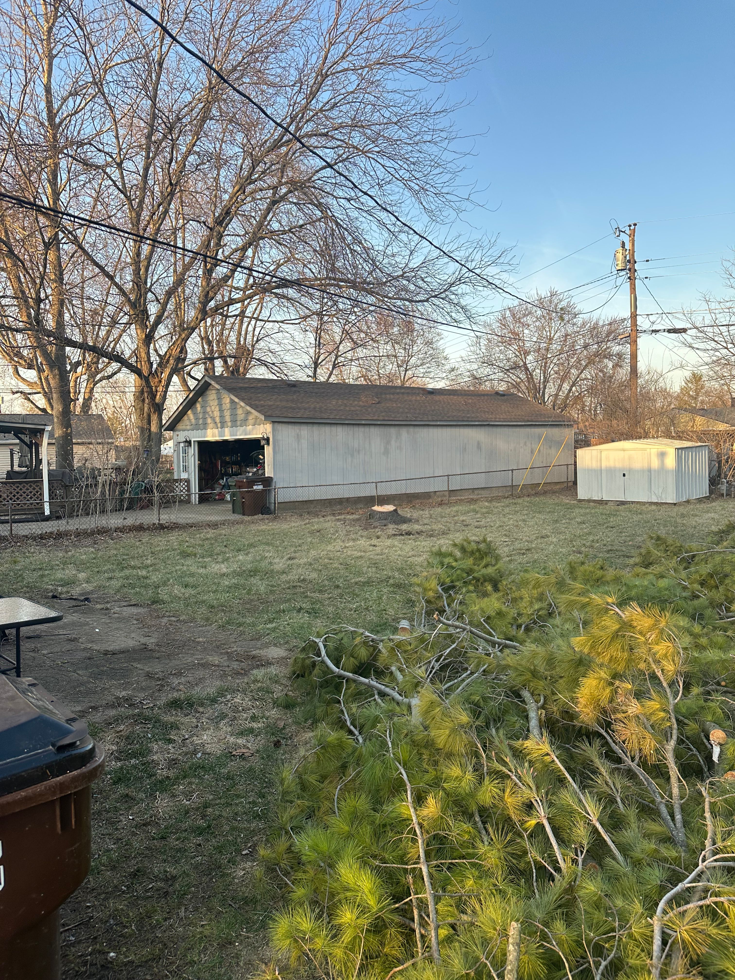 All Photos for Pro Tree Trim & Removal, Llc in Dayton, OH