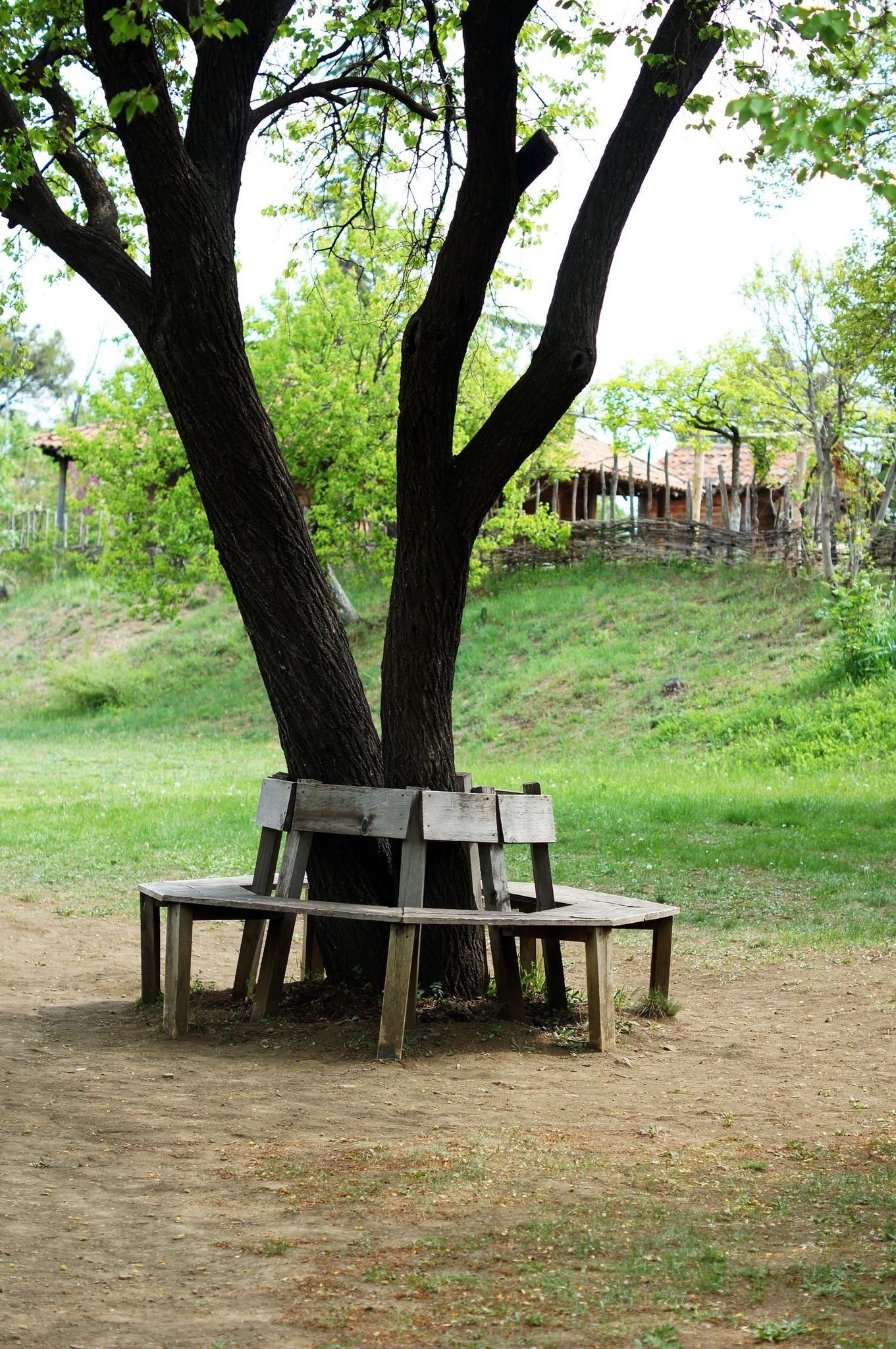  for Tree-B-Gone in Appleton, WI