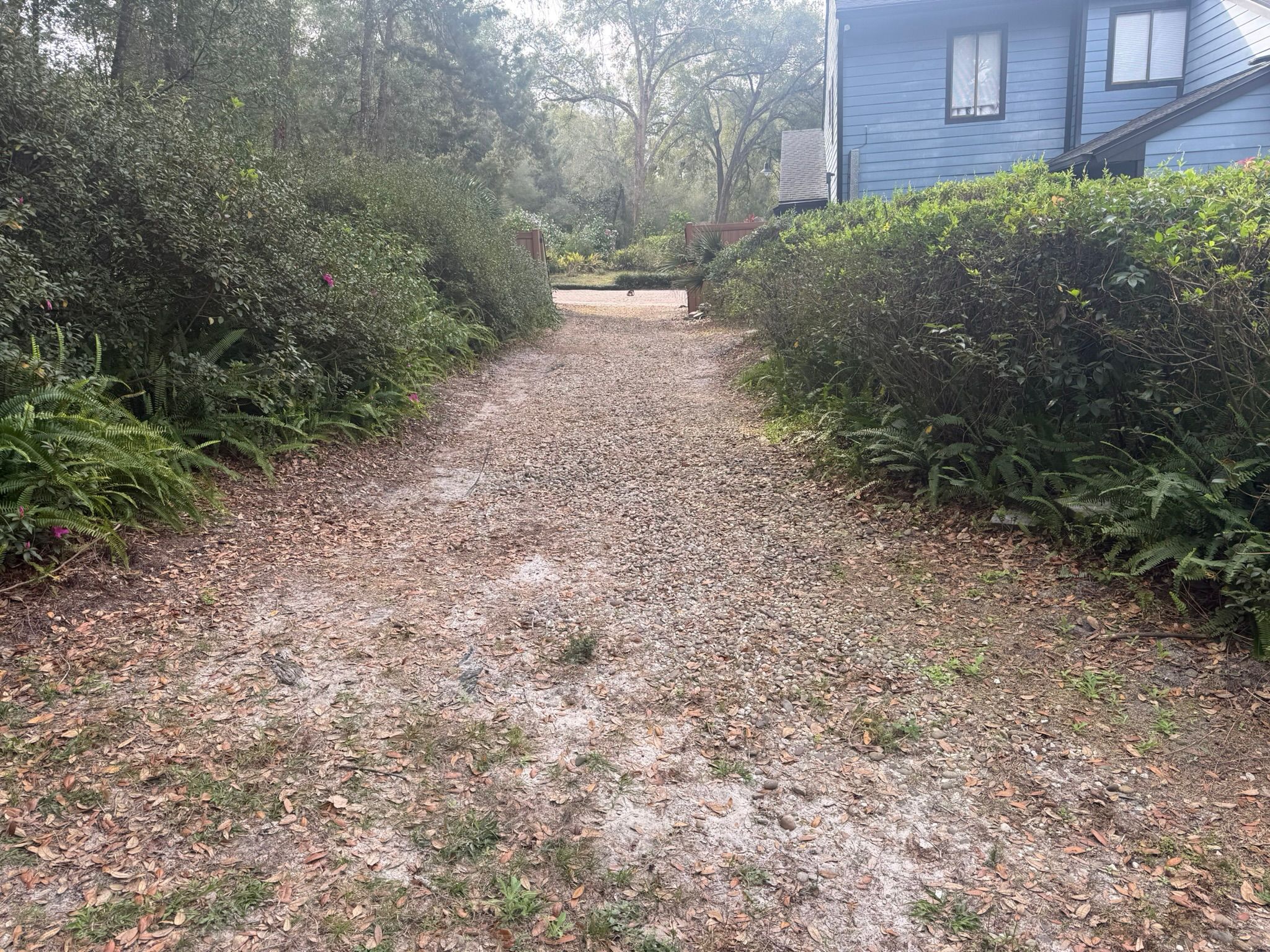  for Amerigrown Tree And Lawn in Apopka, FL