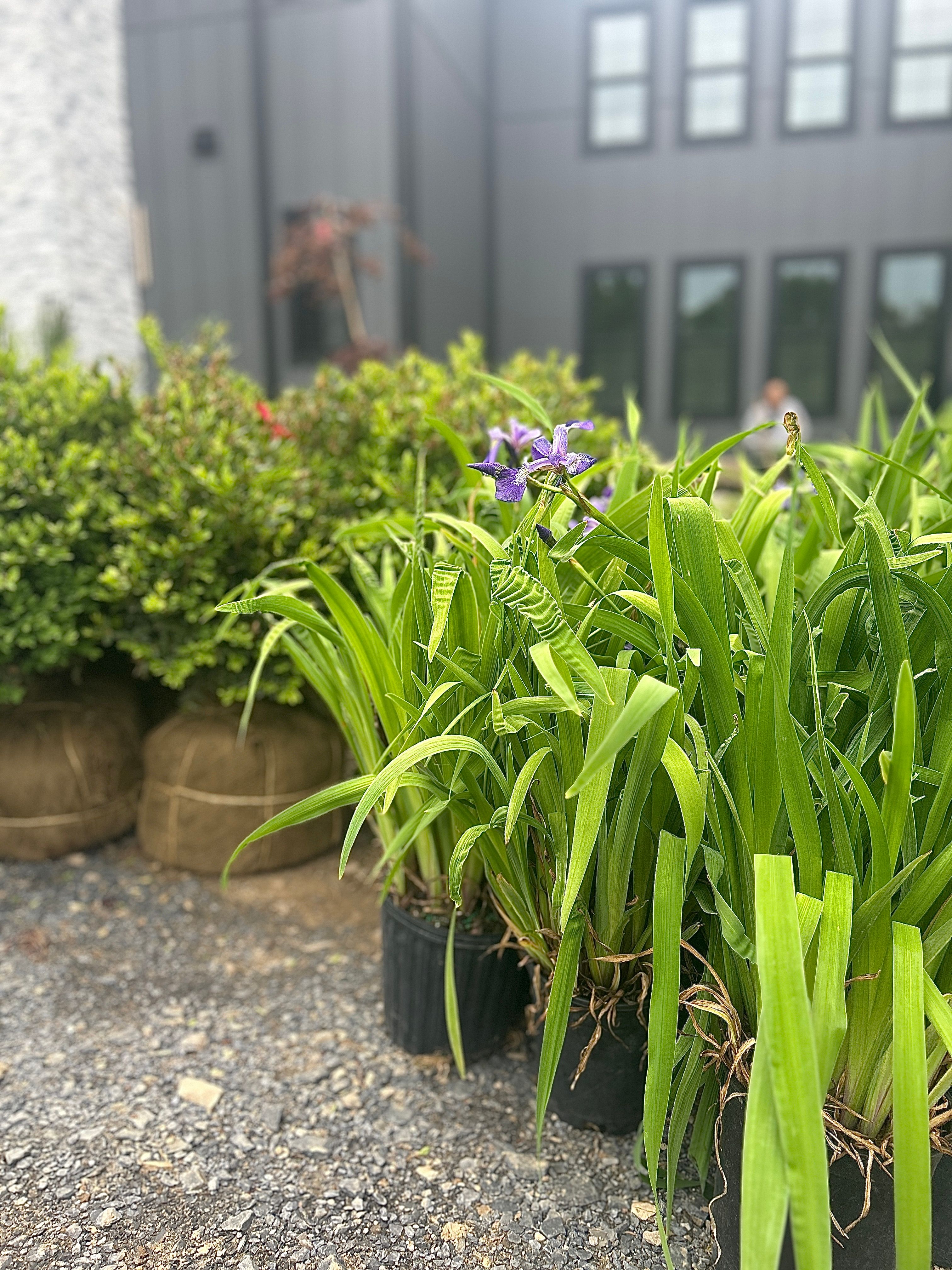  for Tony Monaco Landscaping Inc. in Orange County, NY