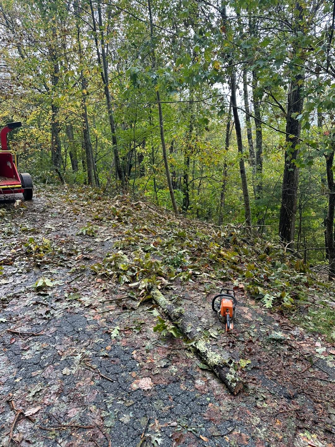 All Photos for Brixton’s Lawn Care in Wilkesboro, NC