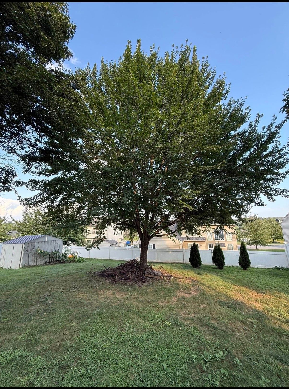  for Wiley Landscape Design in York, PA