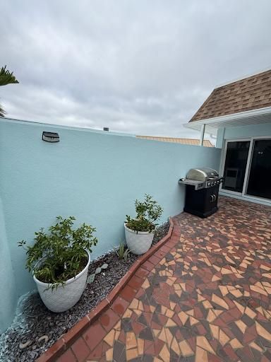  for Escorpio Painting in Tampa, FL