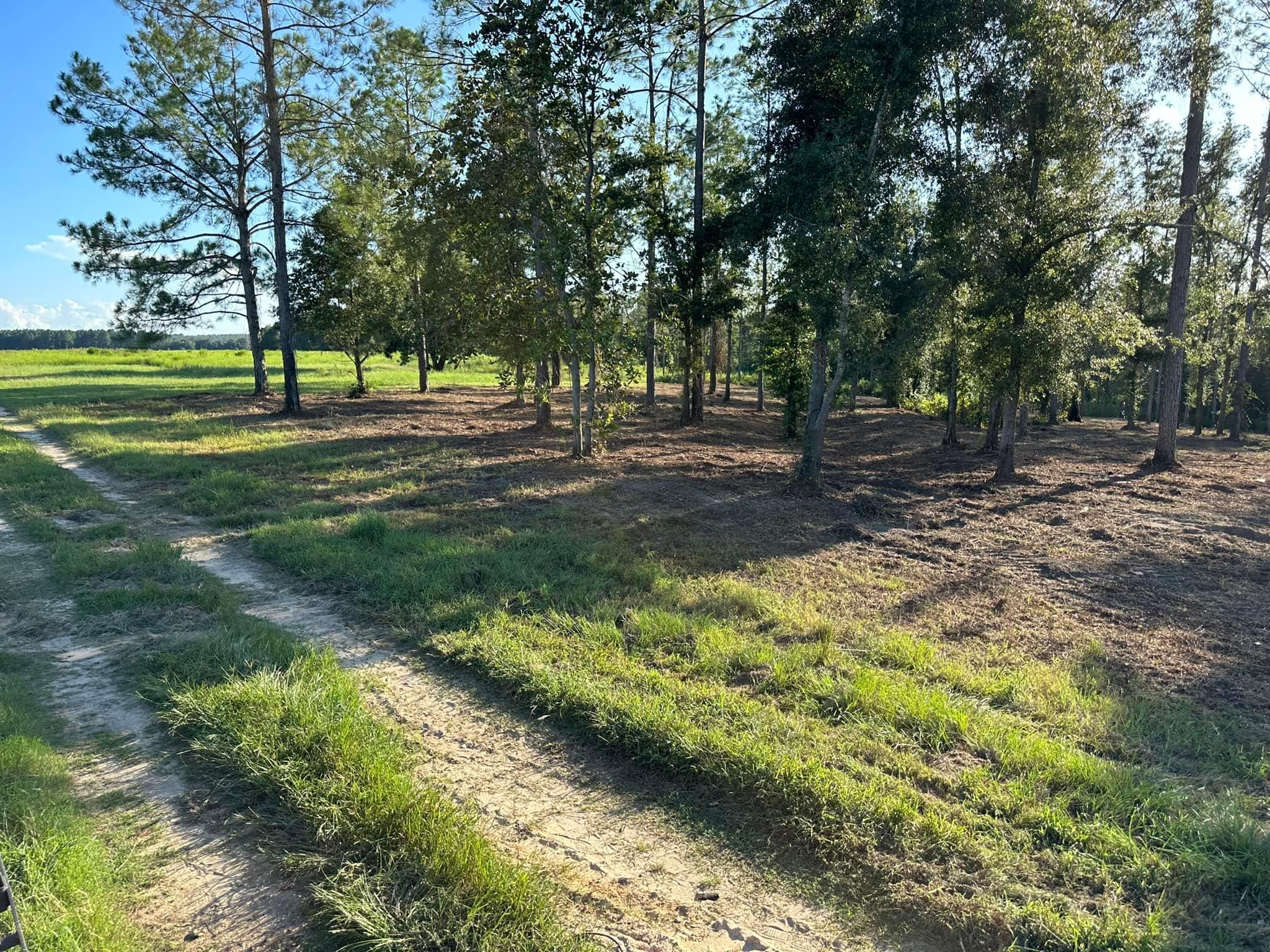 All Photos for White’s Land Maintenance in Milton,, FL