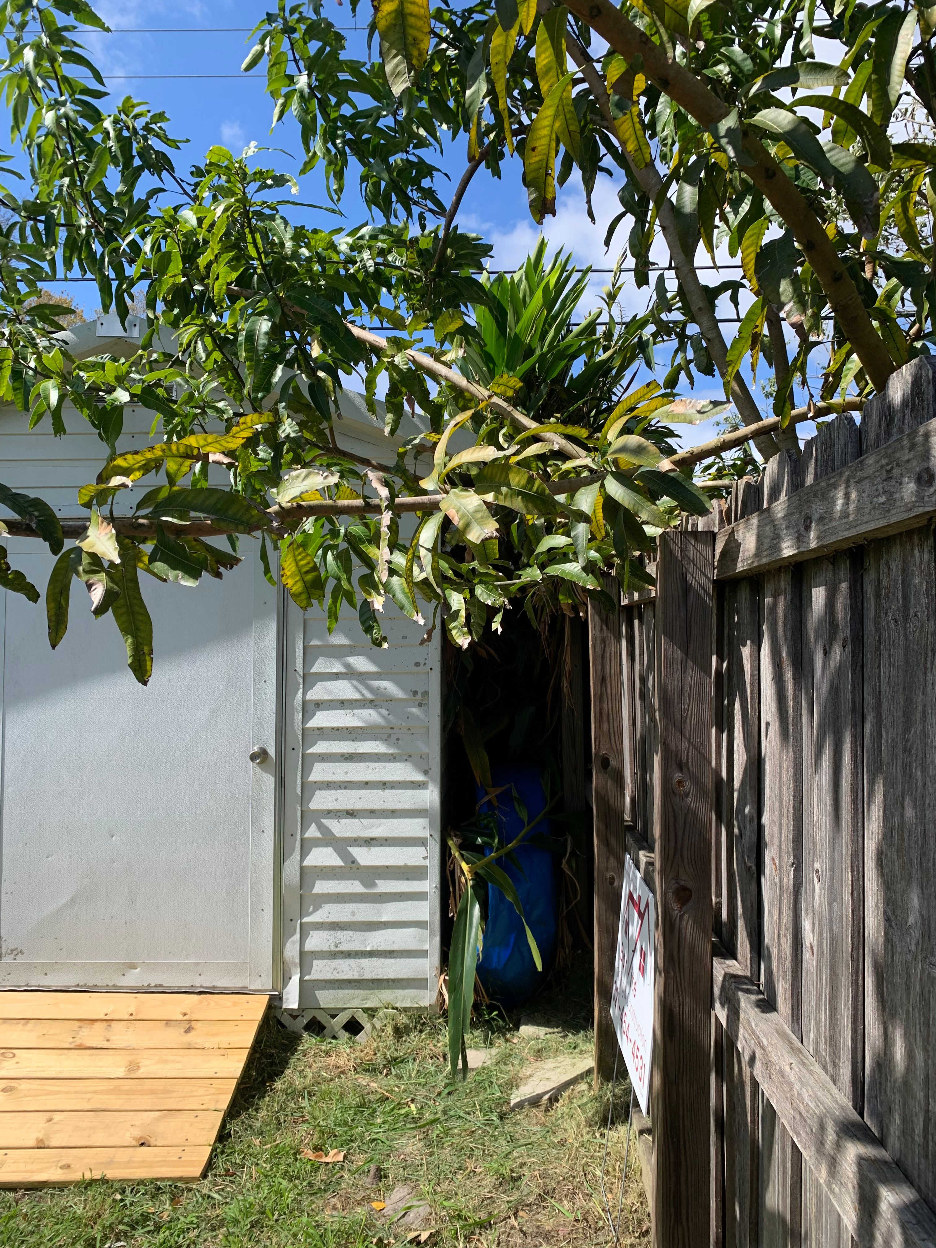  for Space Coast Property Maintenance and Management LLC in Melbourne, FL