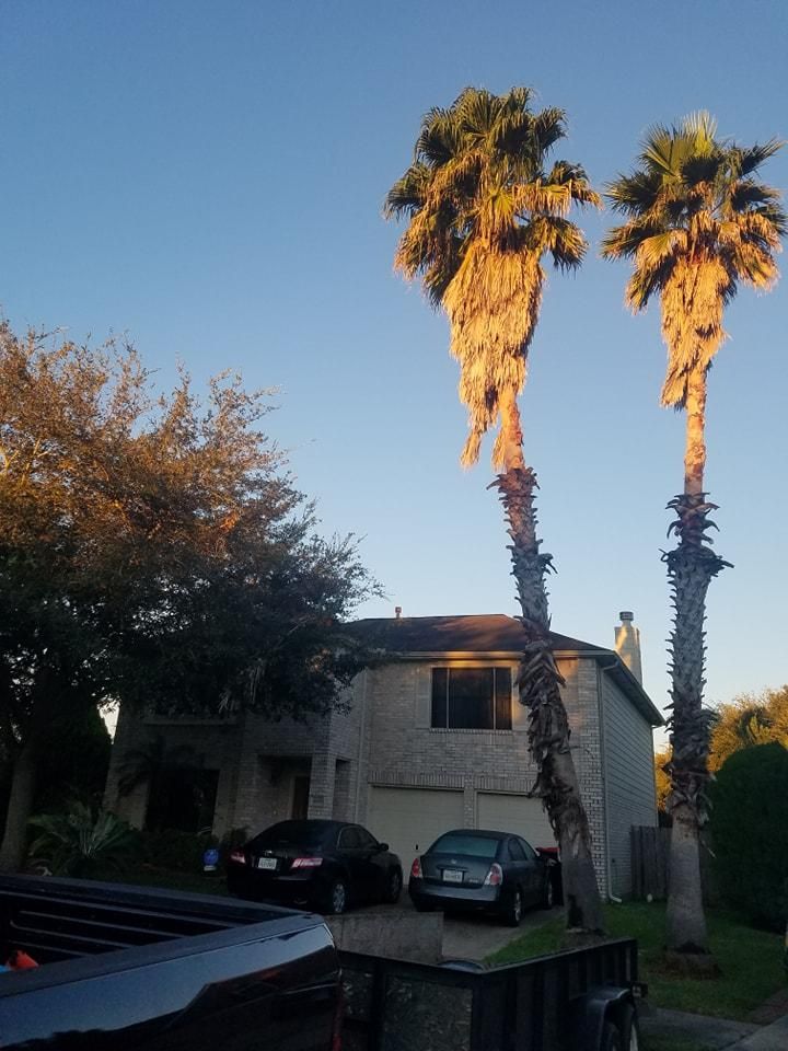  for Servin's Tree Care  in Houston, TX