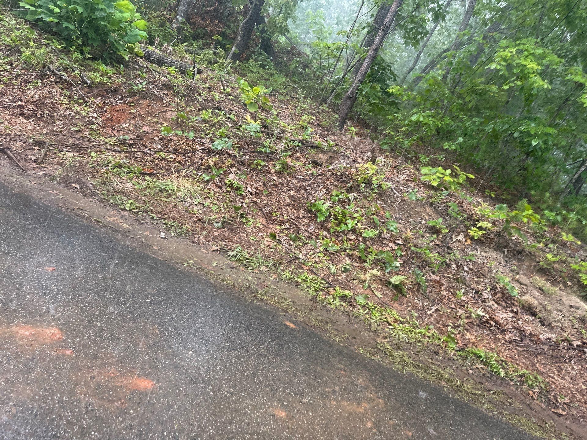  for Rescue Grading & Landscaping in Marietta, SC