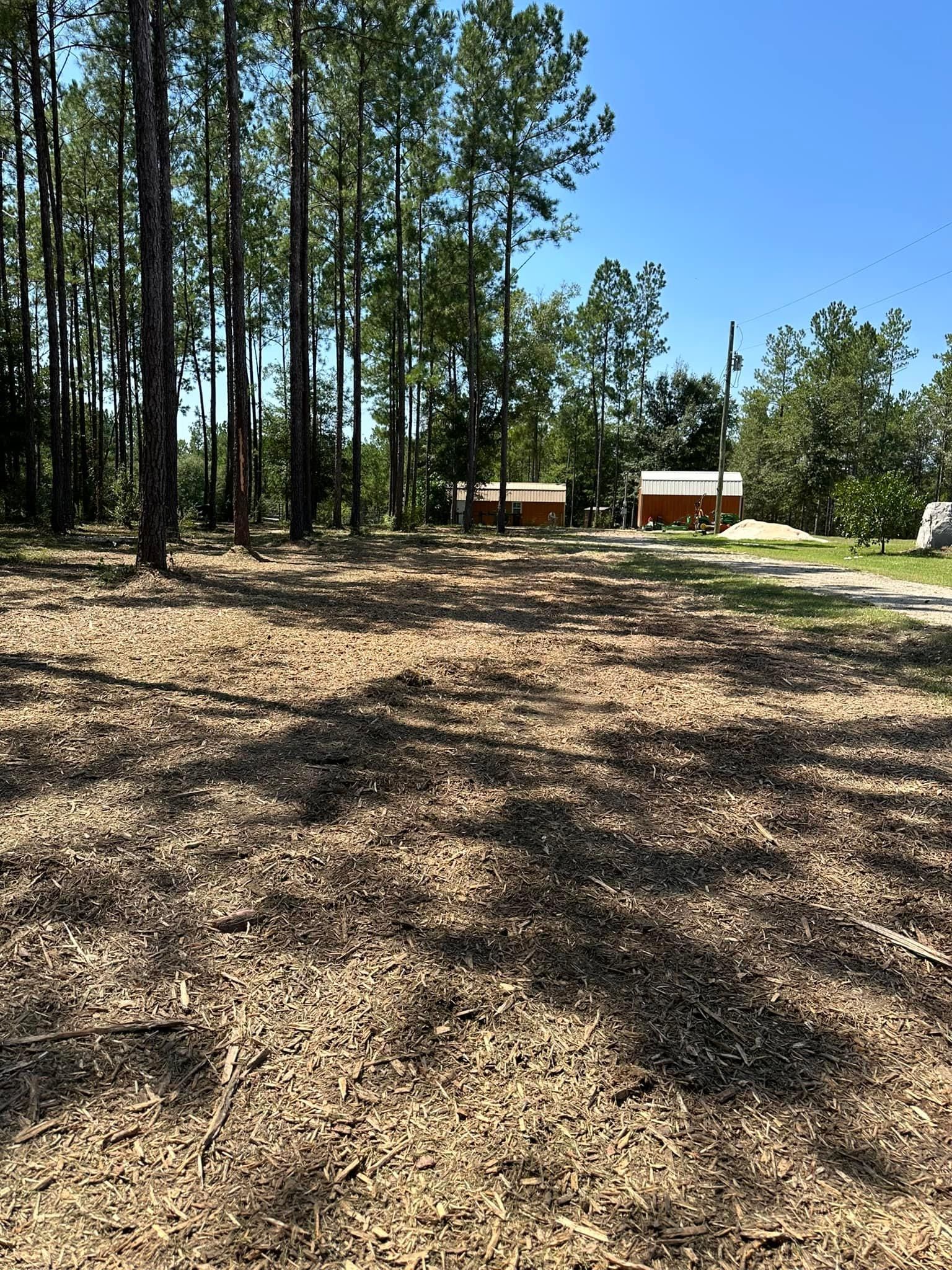 All Photos for White’s Land Maintenance in Milton,, FL