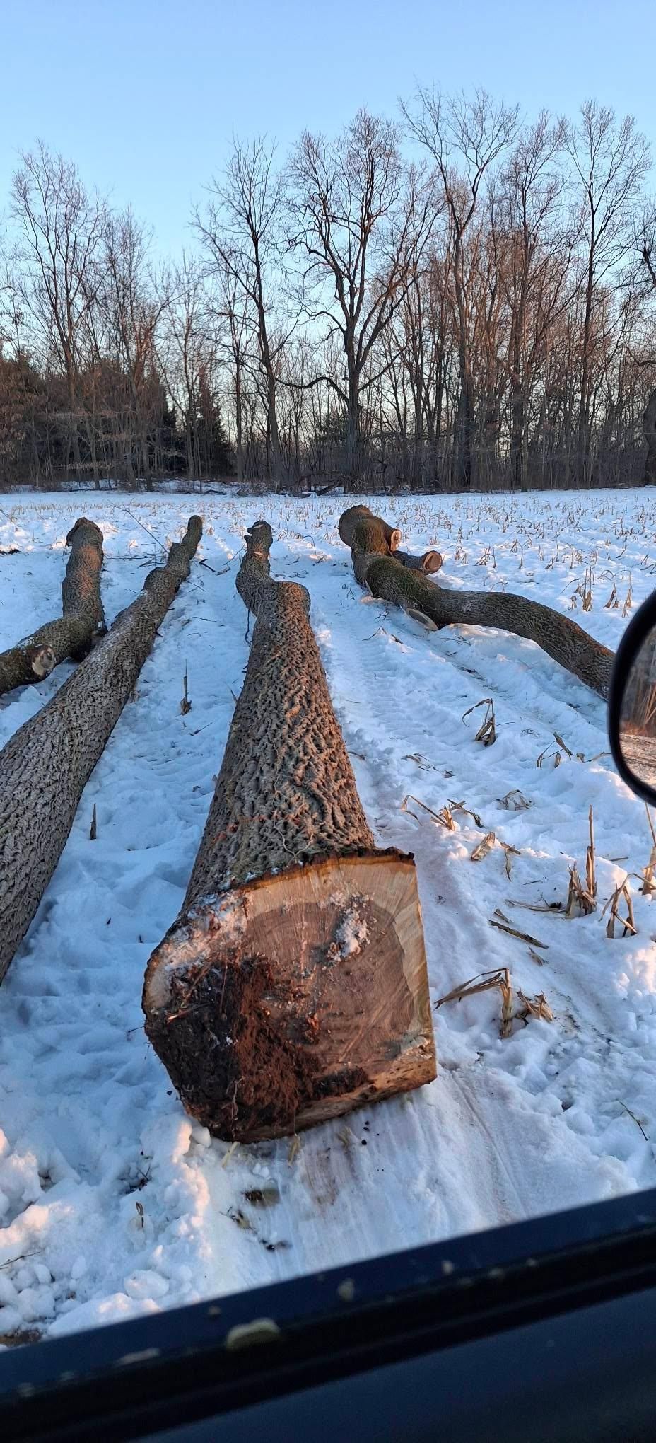  for God's Country Timber Management in Hillsdale, MI