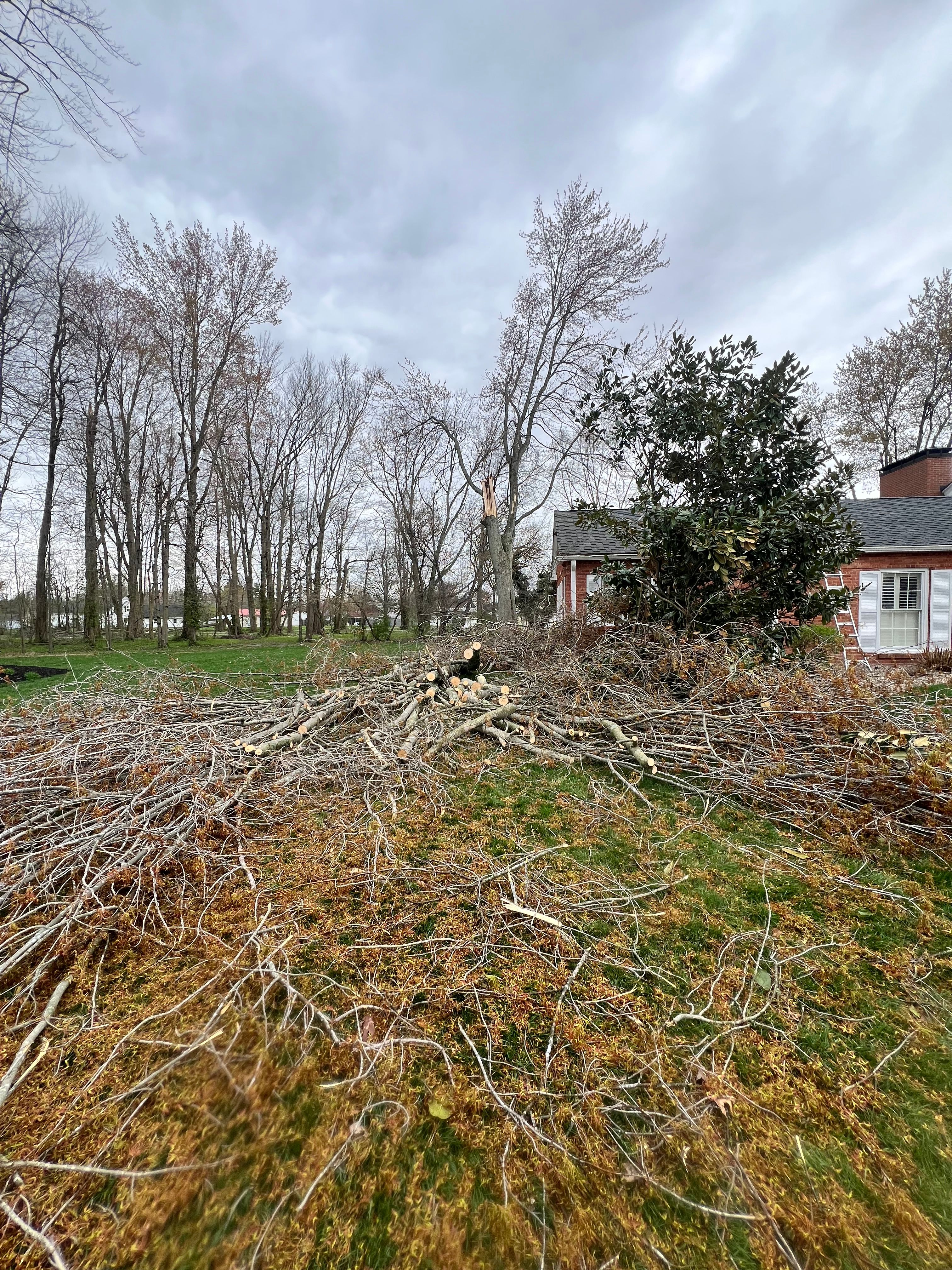 All Photos for Kadin’s Tree Service in North Vernon, IN