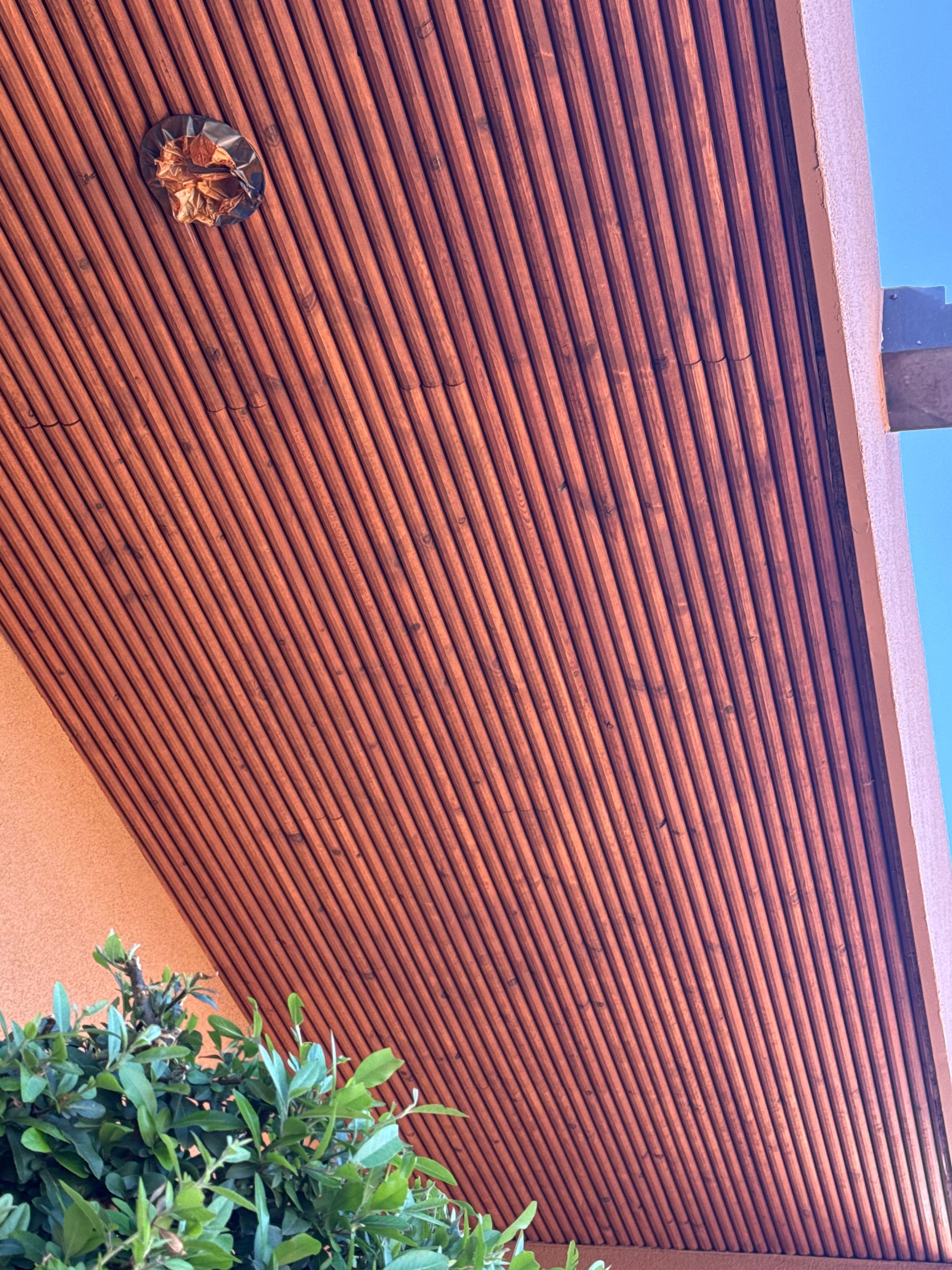  for True Vision Painting in Prescott Valley, AZ