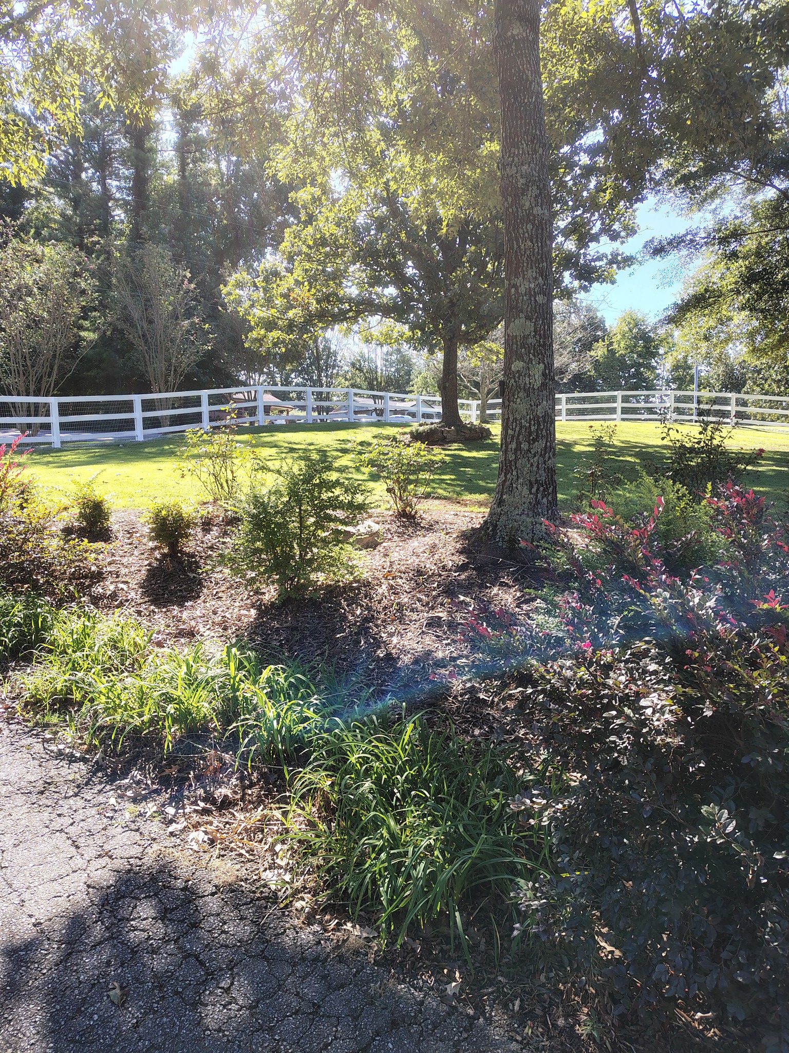 for MHS Solutions in Rydal, GA
