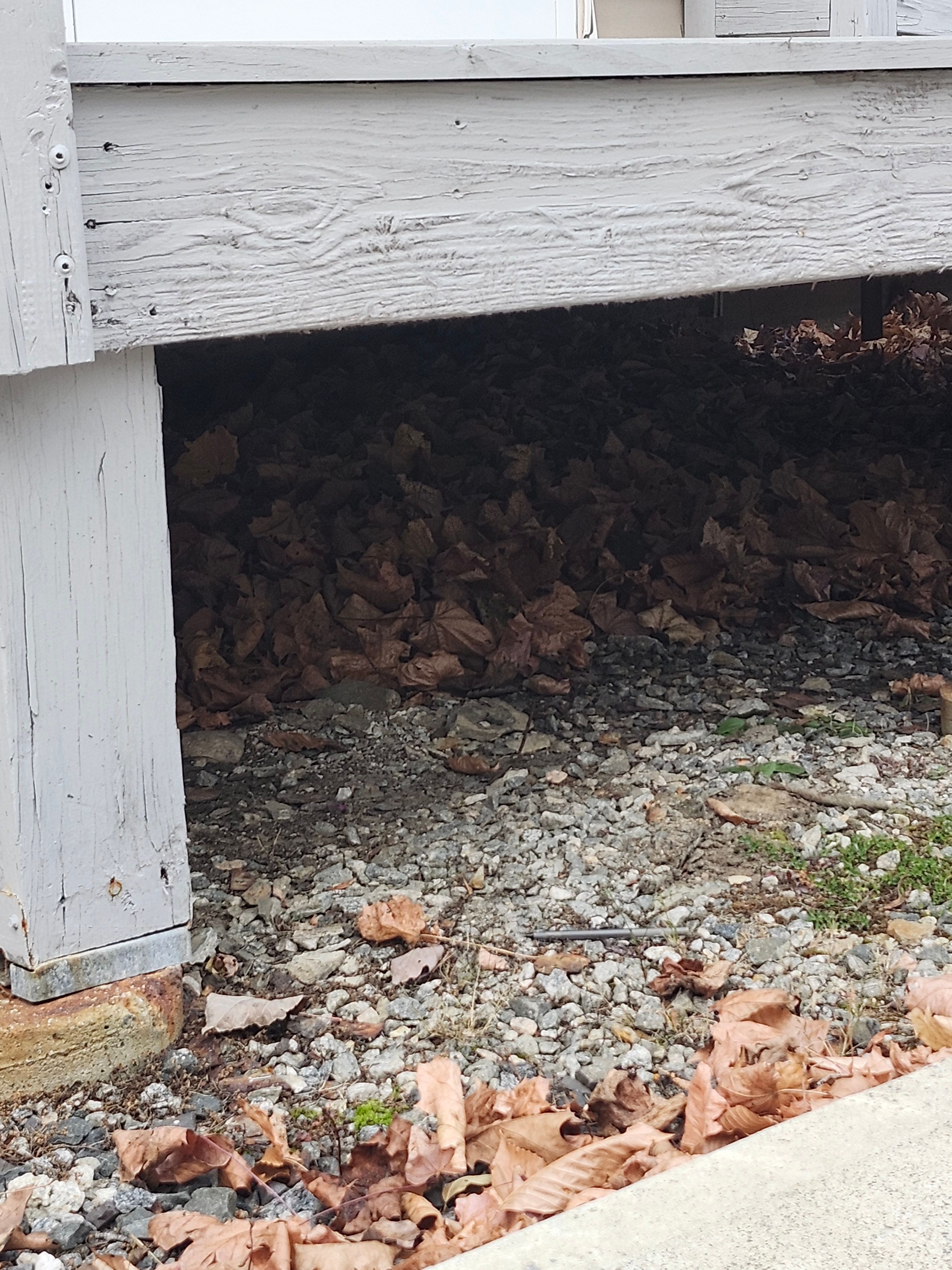 Spring & Fall Cleanups for Landscape Innovations LLC in Torrington, CT